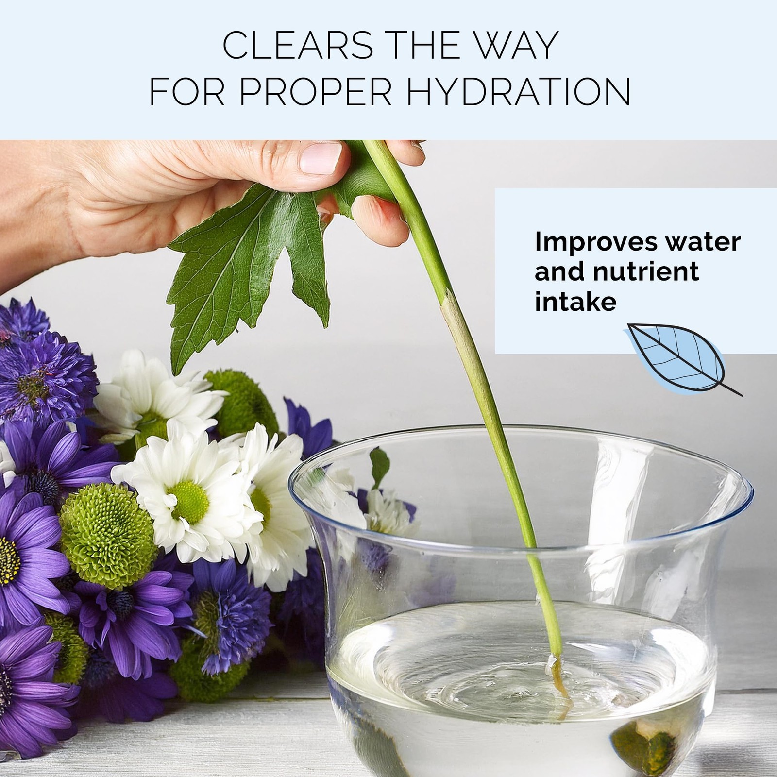 Quick Dip – Instant Hydrating Treatment Solution for Preserving Fresh-Cut Flo…