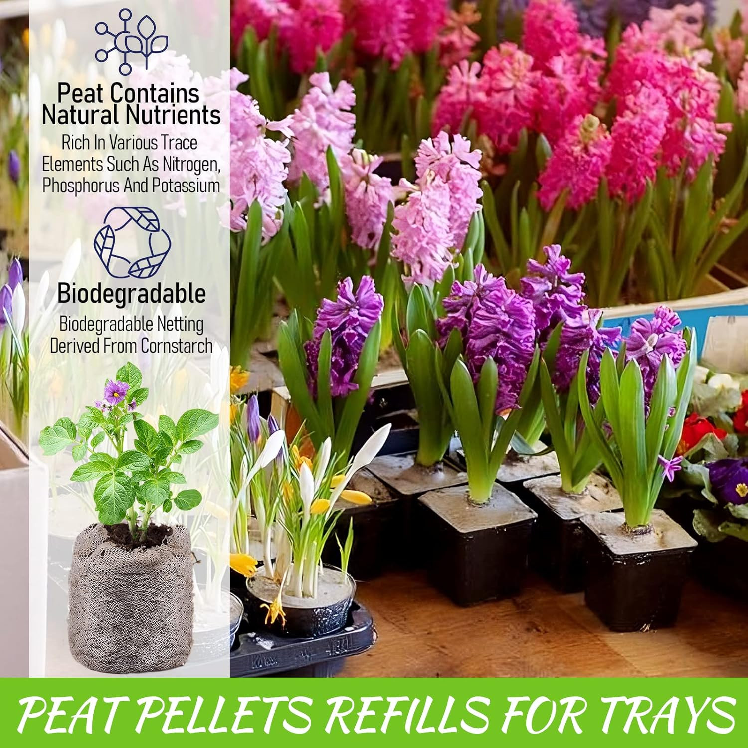100 Pcs 40mm Seed Starter Peat Pellets Pods for Seeds, Plants, Herbs, Veggies