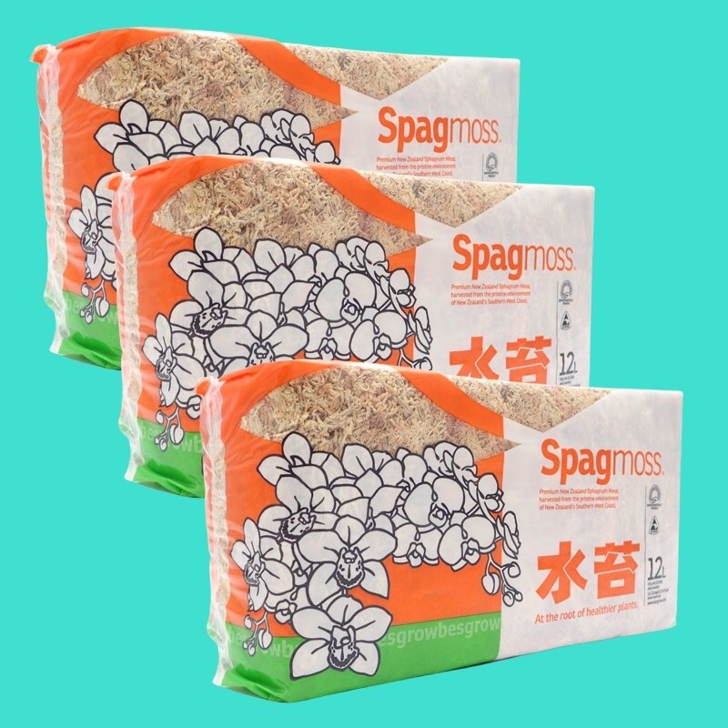3 x Spagnum moss 12 Liter Fiber Orchid Plant Natural Clean Spagmoss New Zealand