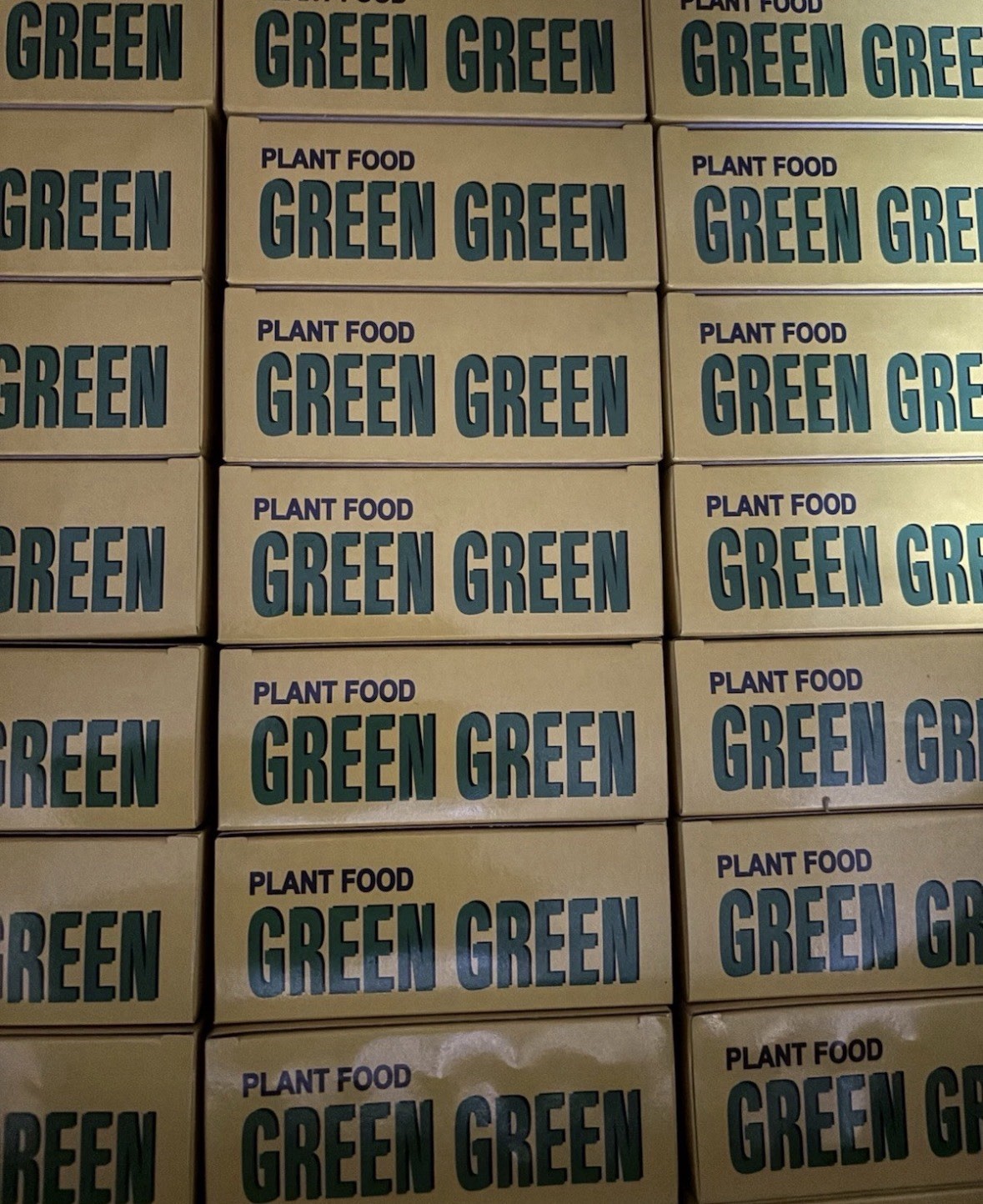 10 bottles ONE BOX GREEN GREEN PLANT FOOD Lucky Bamboo Fast Shipping 👍