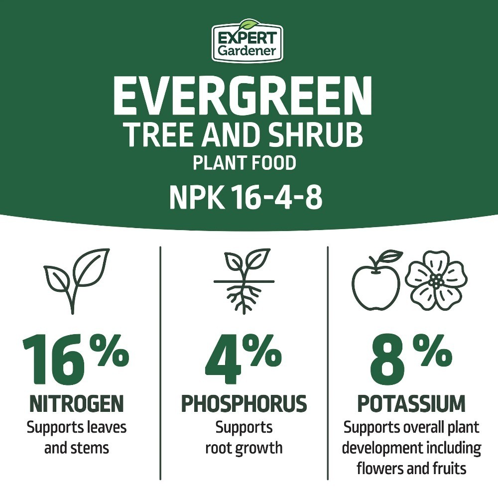 Evergreen Tree and Shrub Plant Food Fertilizer 16-4-8 NPK 4 lb