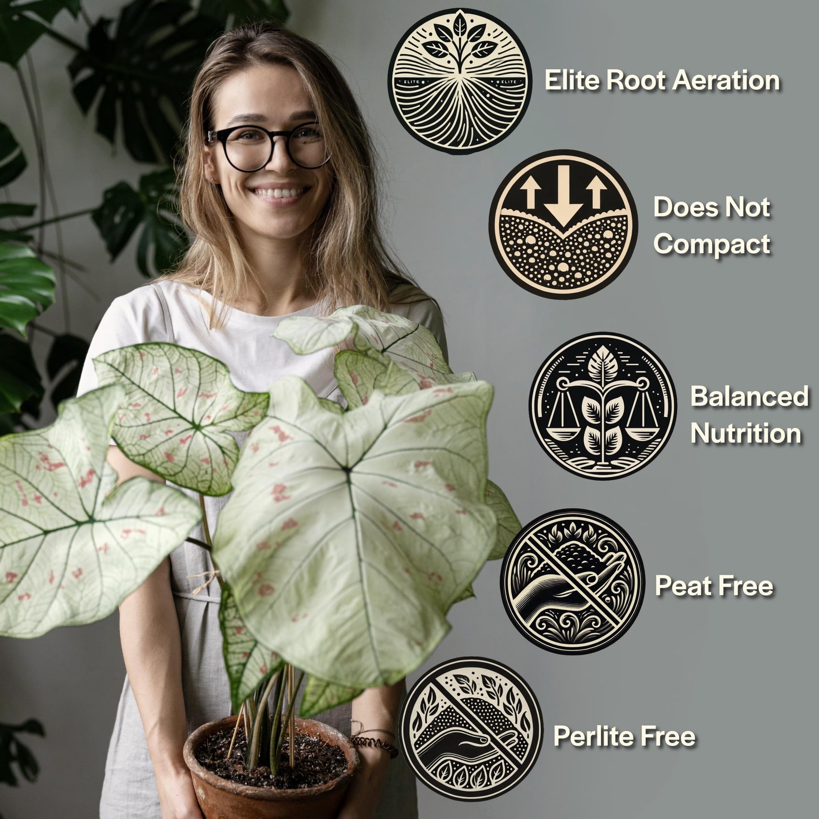 Craft Aroid Potting Mix- Elite Organic Alocasia, Philodendron, Monstera Soil …