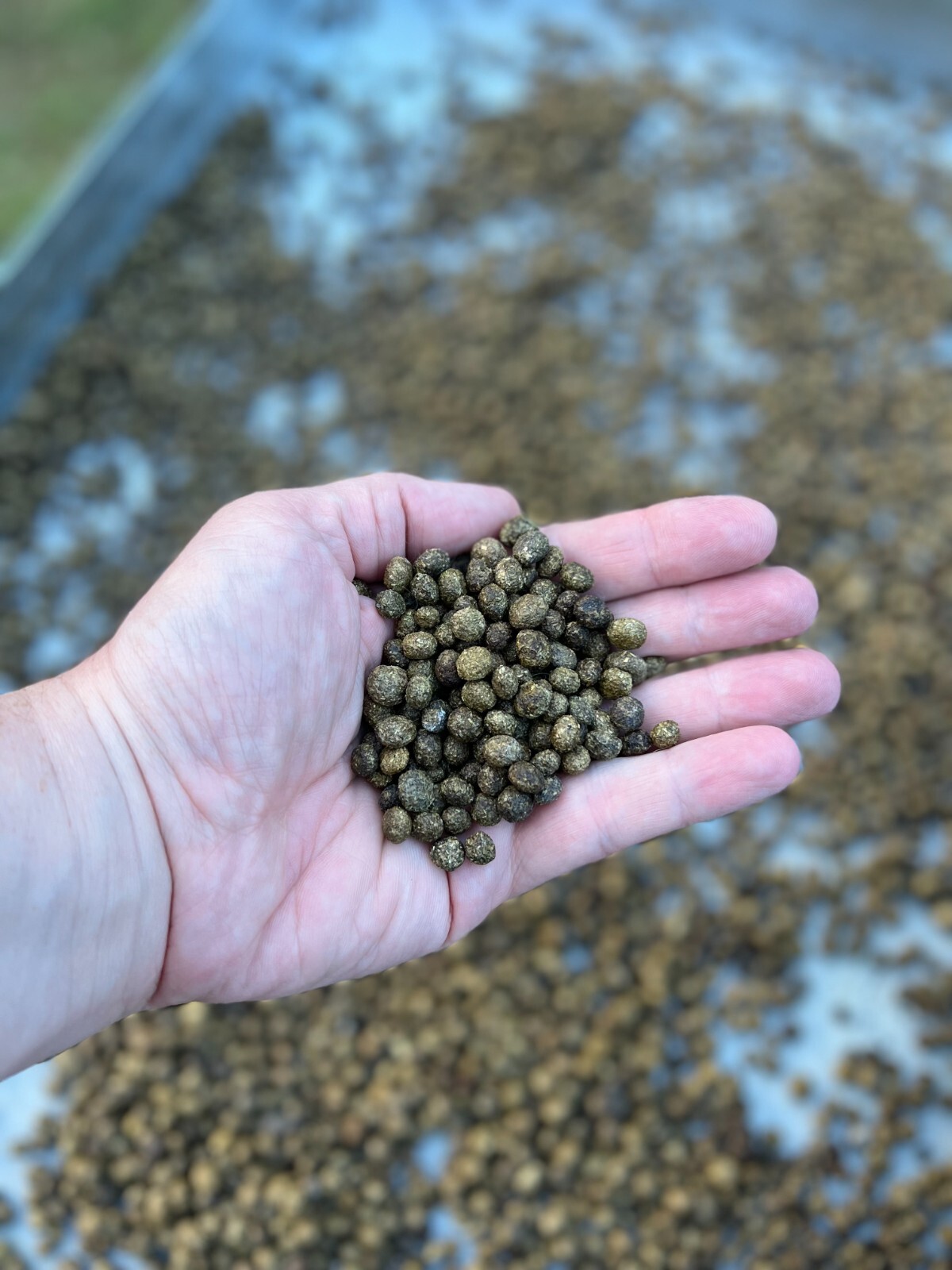 Organic Bunny Rabbit Manure- 2 Pound Bag- Clean Without Hay, Pellets or Food
