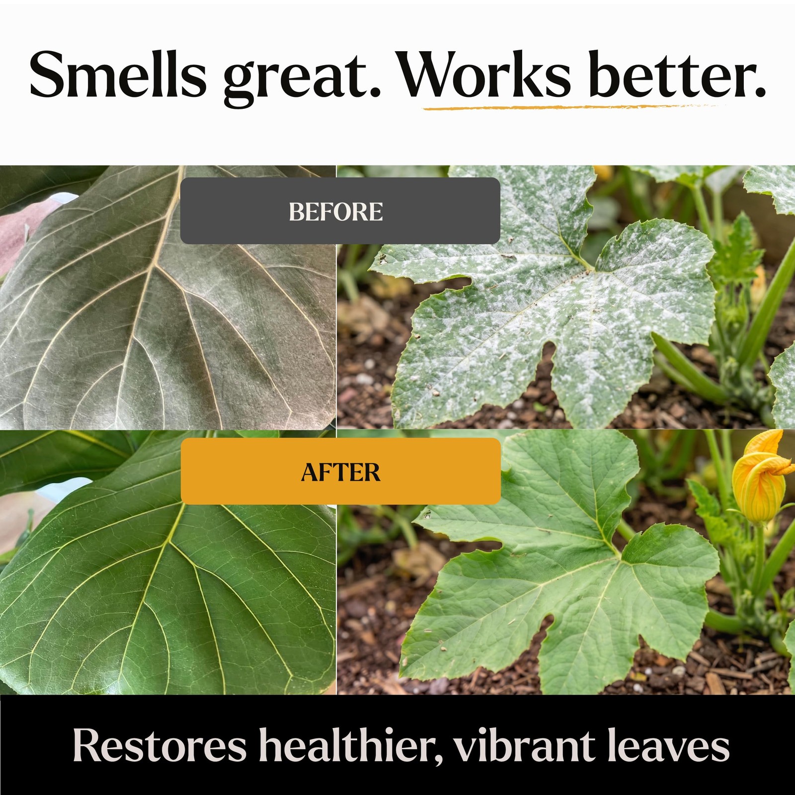 Organic Neem Oil Plant Spray Ready to Use Indoor Outdoor Leaf Shine 16oz