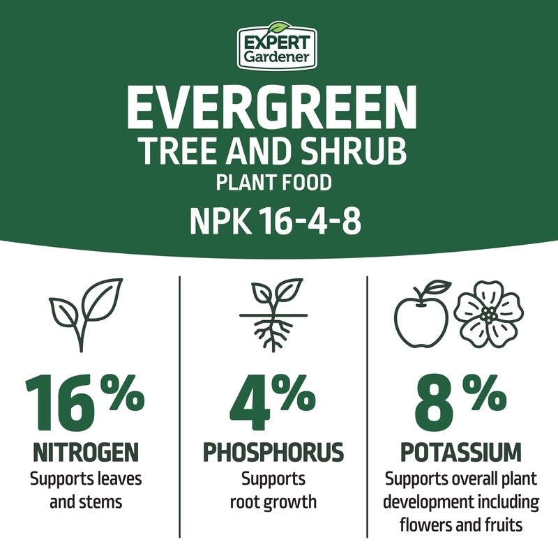 Evergreen Tree Shrub Plant Food 16-4-8 Fertilizer 4lb NPK Time Release Granules