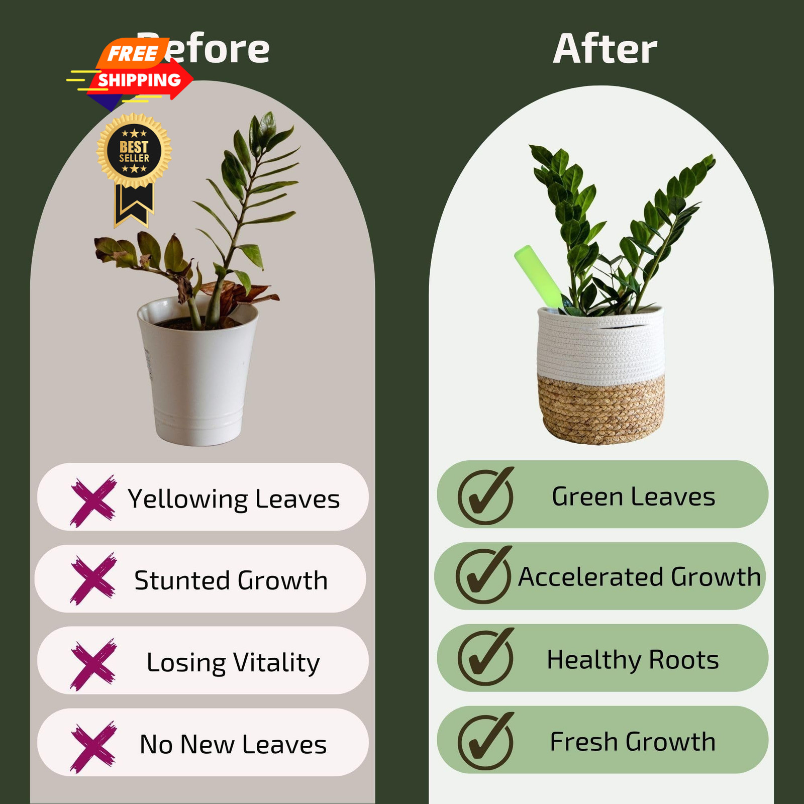 The Green Alcove Plant Food for Houseplants Pack of 1, Houseplant Fertliizer