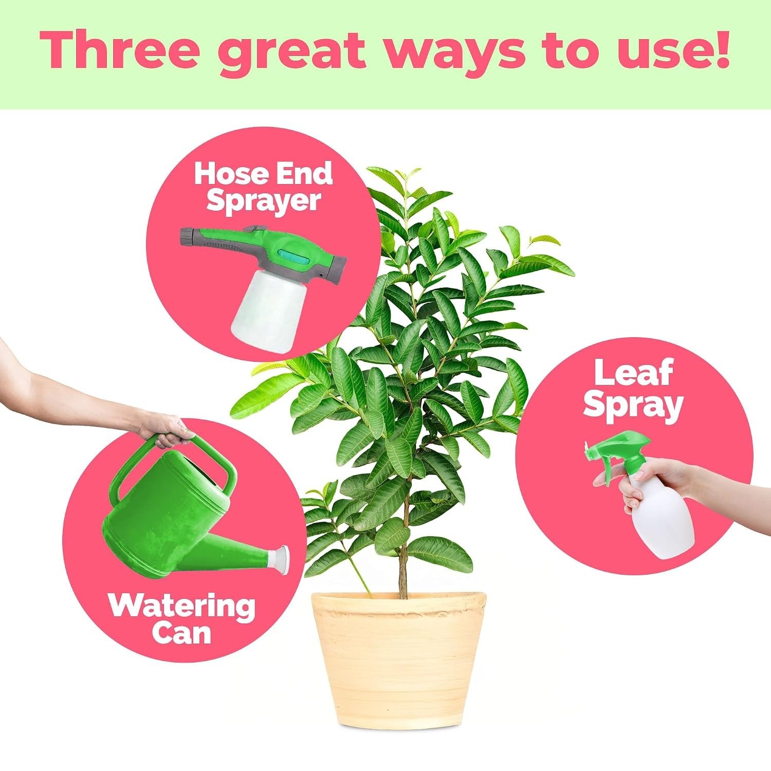 Guava Tree Fertilizer – Liquid Plant Food for More Fruit, 1 Gallon | Encourag…
