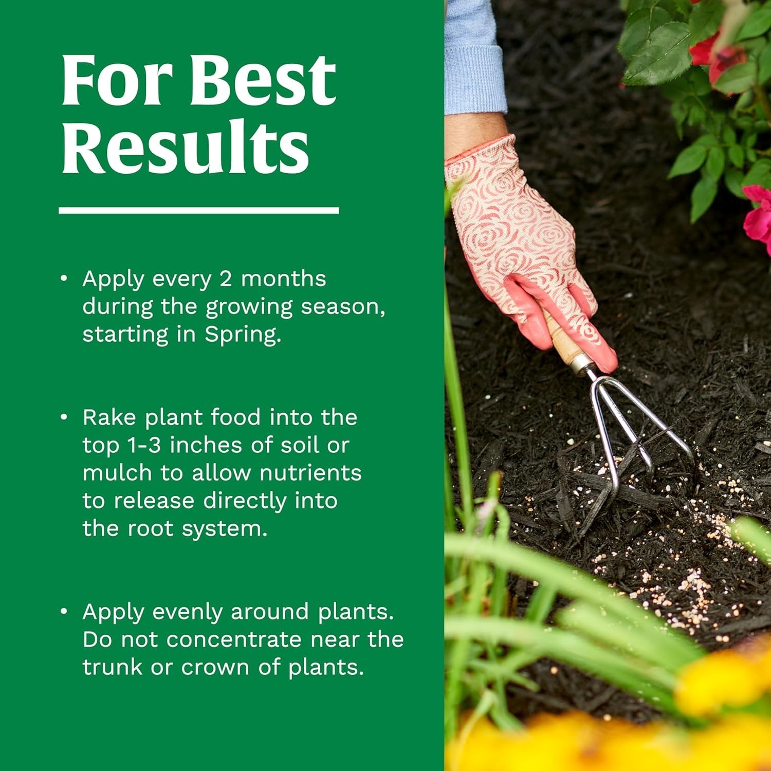 All Purpose Plant Food – 3 lb Granules for Vibrant Flowers & Abundant Vegetables