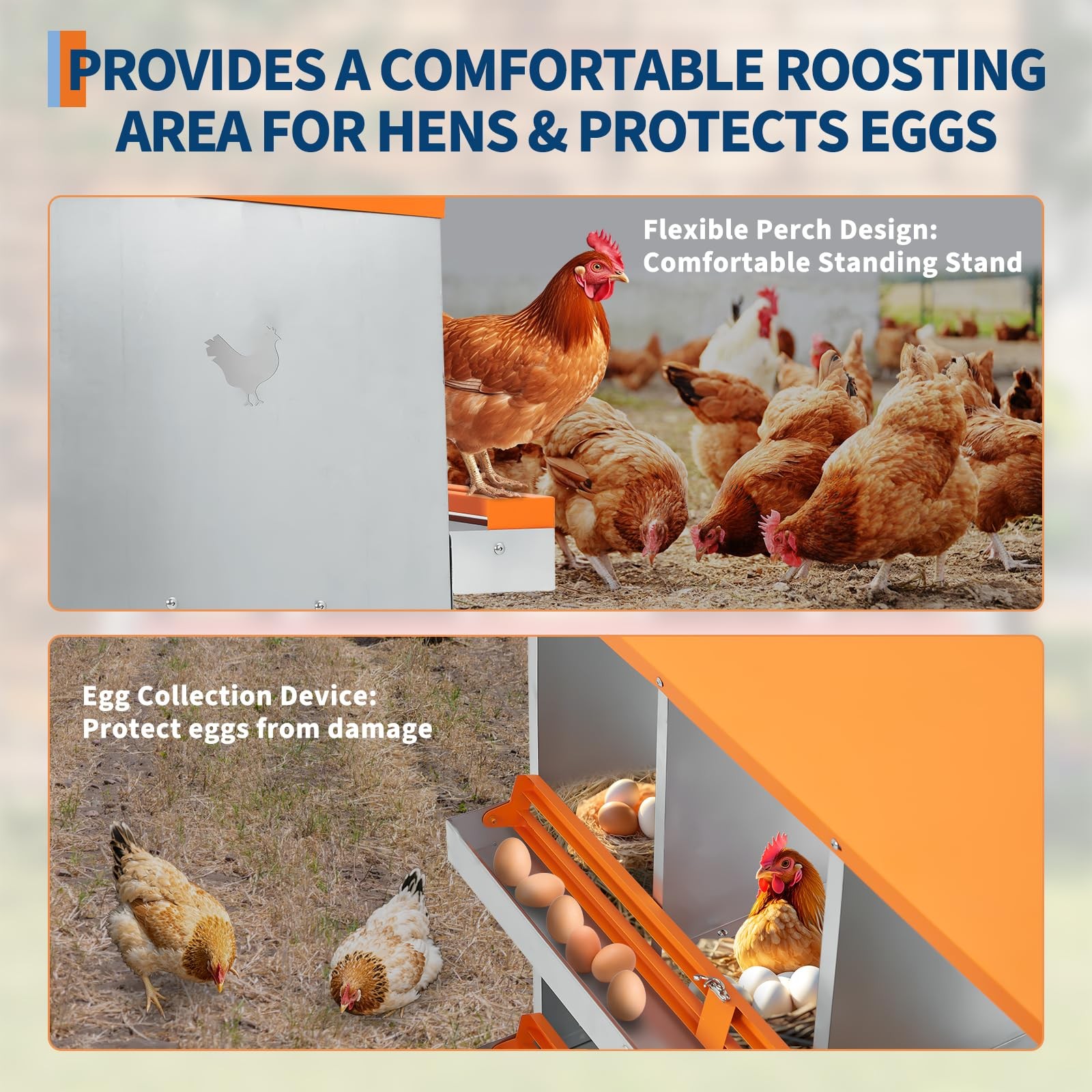 Eliteedge 6 Compartment Nesting Boxes For Chickens Chicken Nesting To Protect