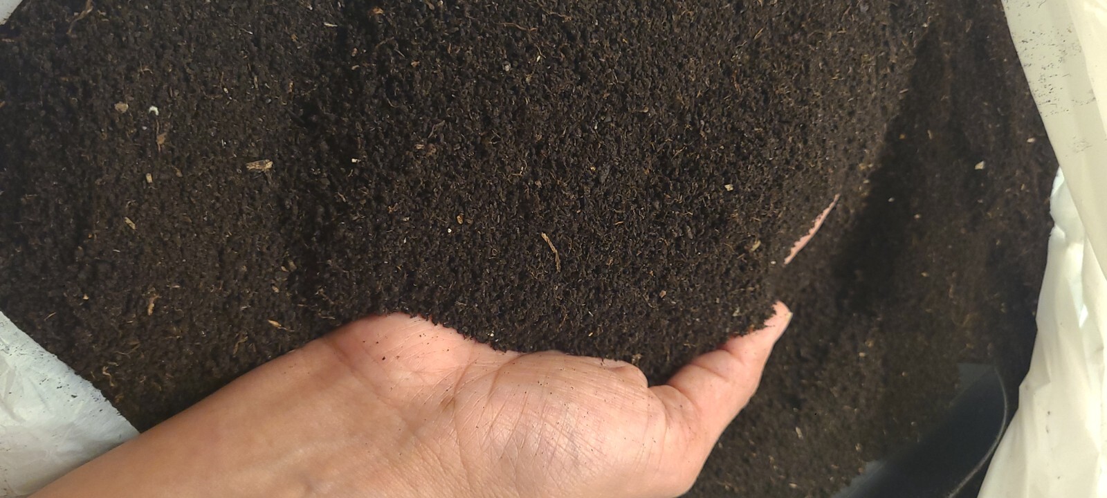 Plant and Grow 100% worm castings. 