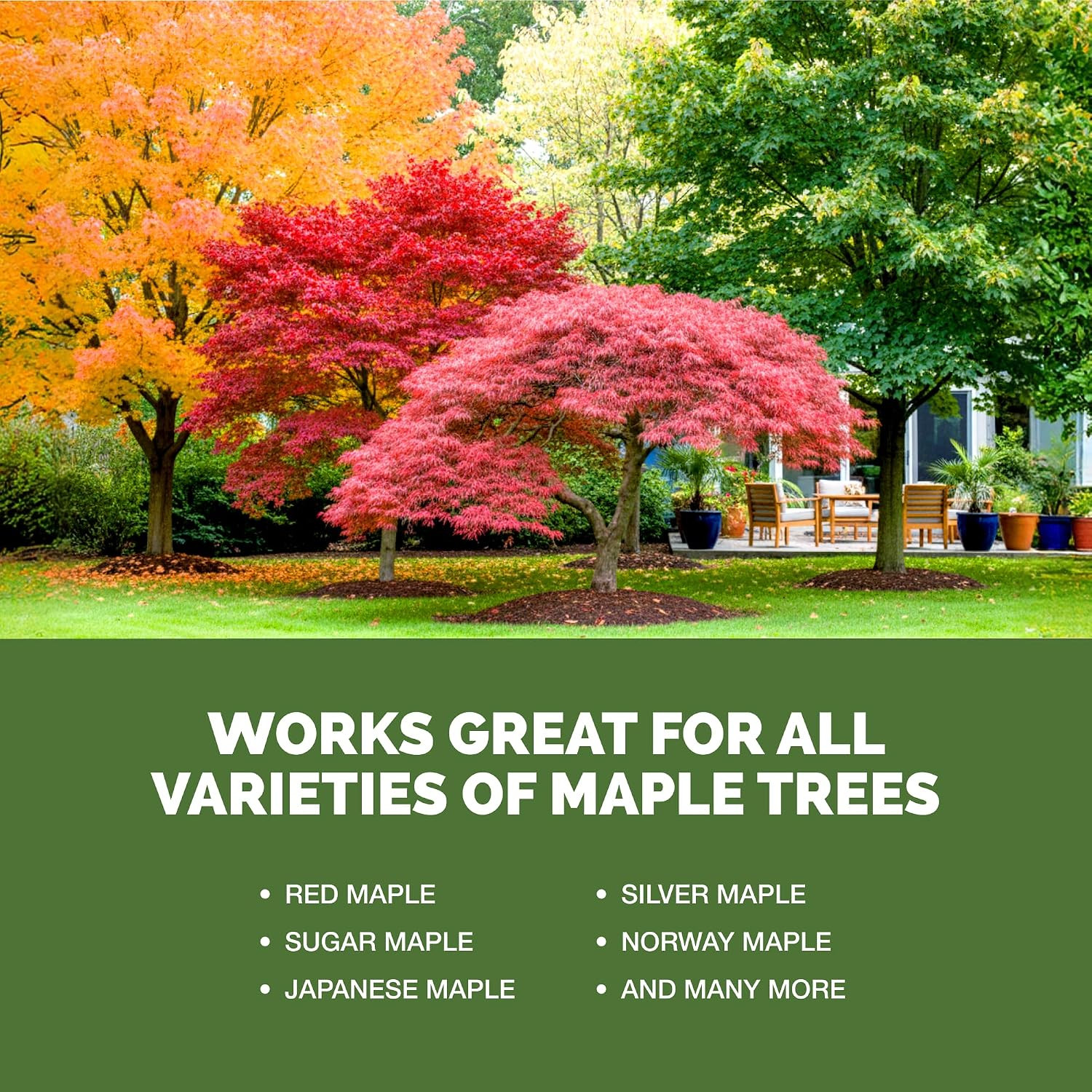 Maple Tree Fertilizer – Liquid Plant Food for Vibrant Color, Stronger Roots & He