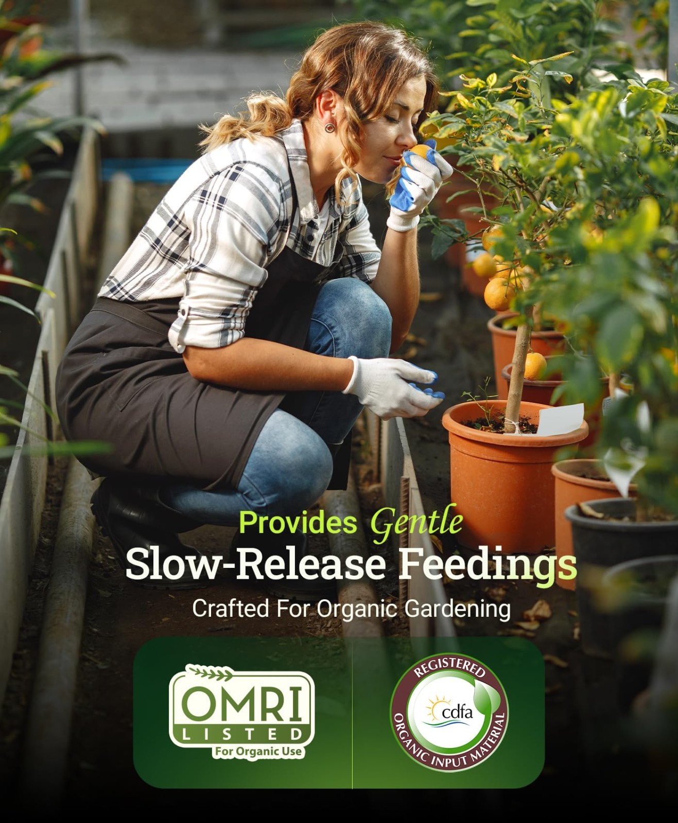 All-Purpose Slow Release Fertilizer for Flowers, Vegetables & Plants – 4 lb, OMR