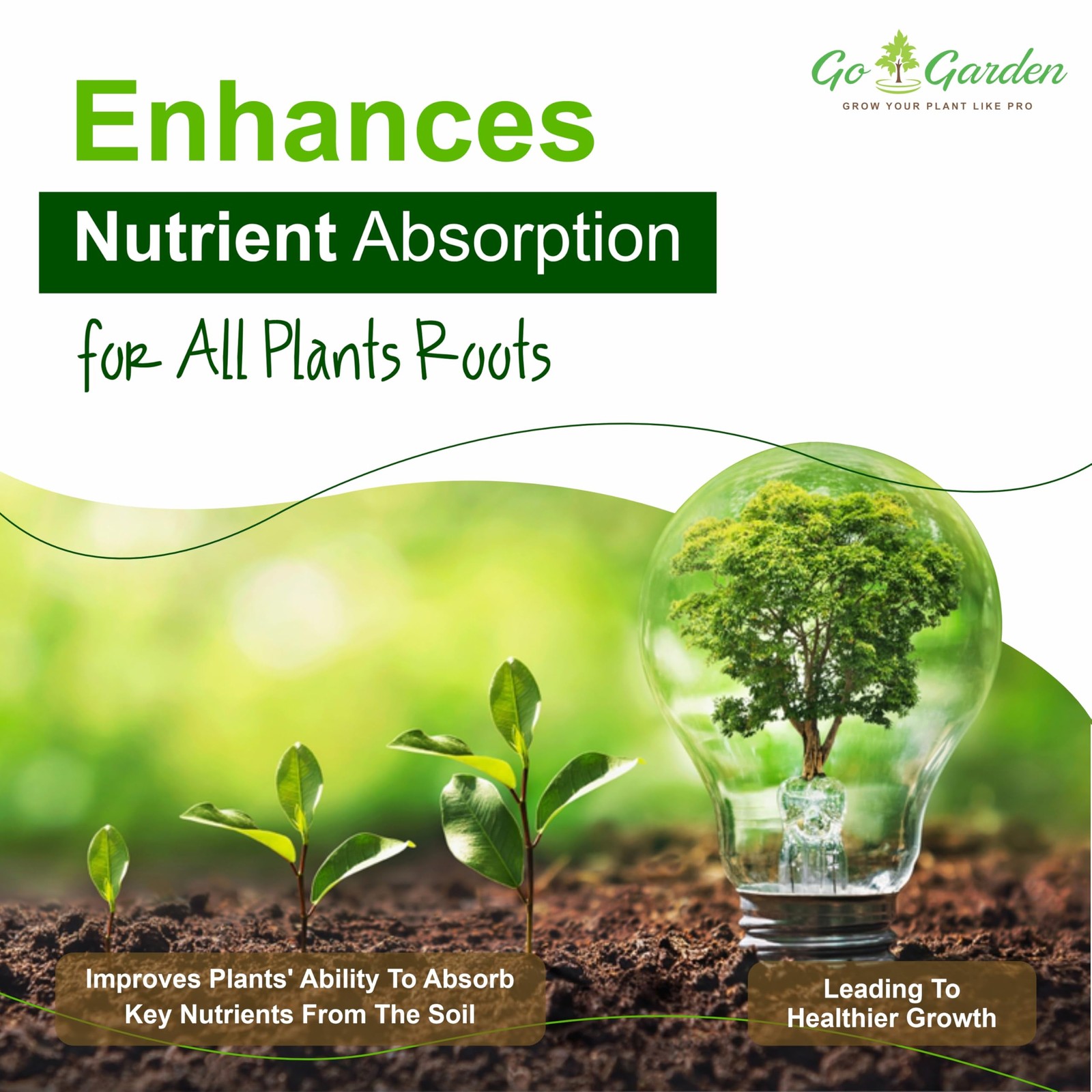 Boron 20% Micronutrient Fertilizer – Boosts Vegetable Growth, 250g Powder Fer…
