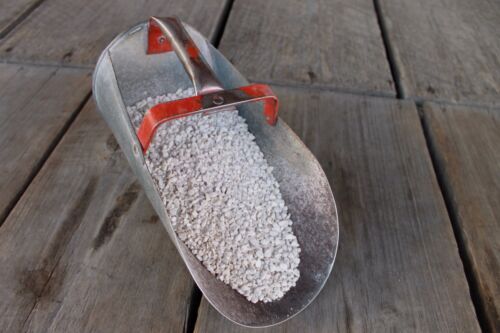 Calcium & Poultry Oyster Shells to harden egg shells chicken duck quail gardens