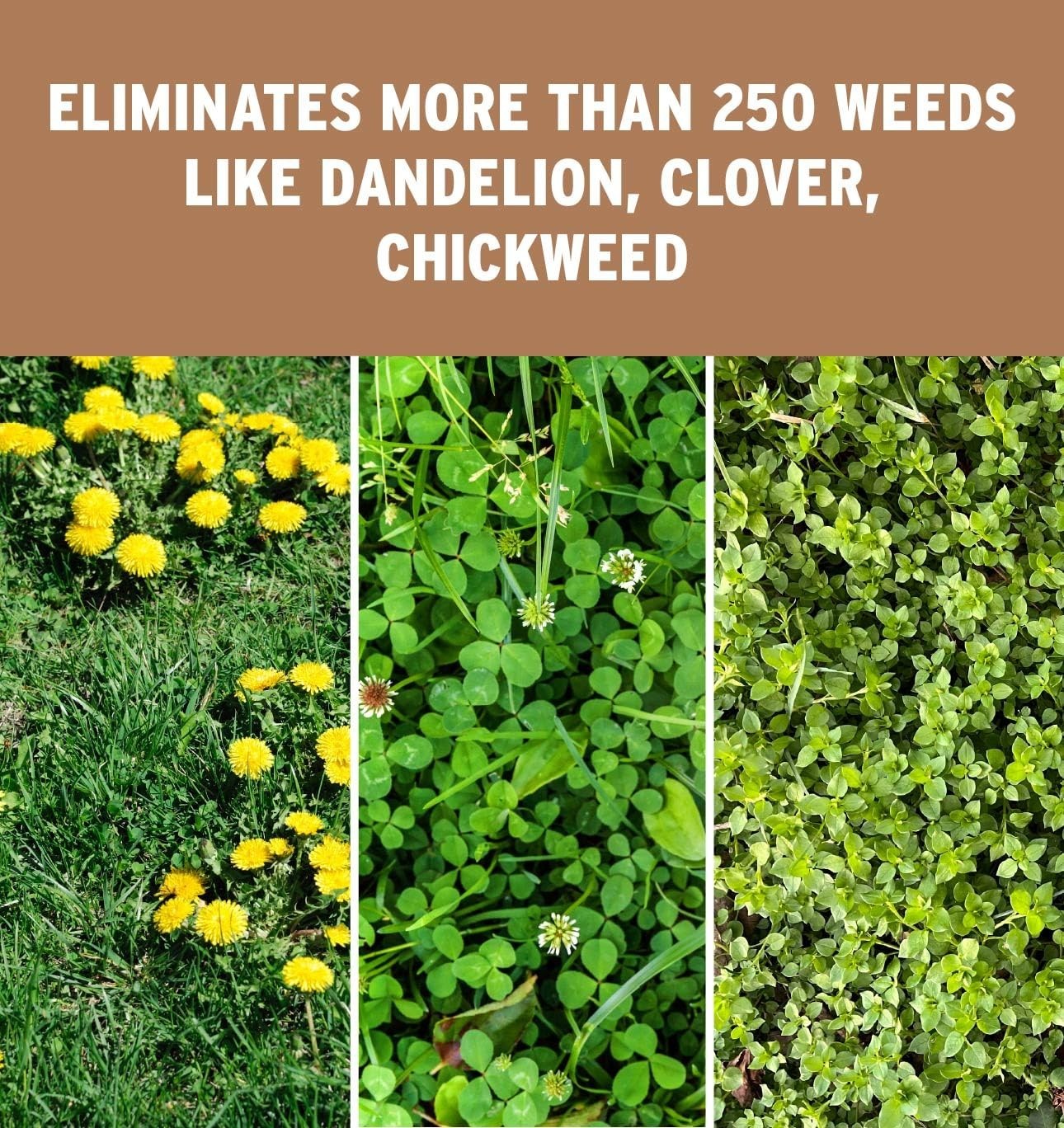 Surge Weed & Feed 40lb Granules 16k sq ft Control Fertilizer