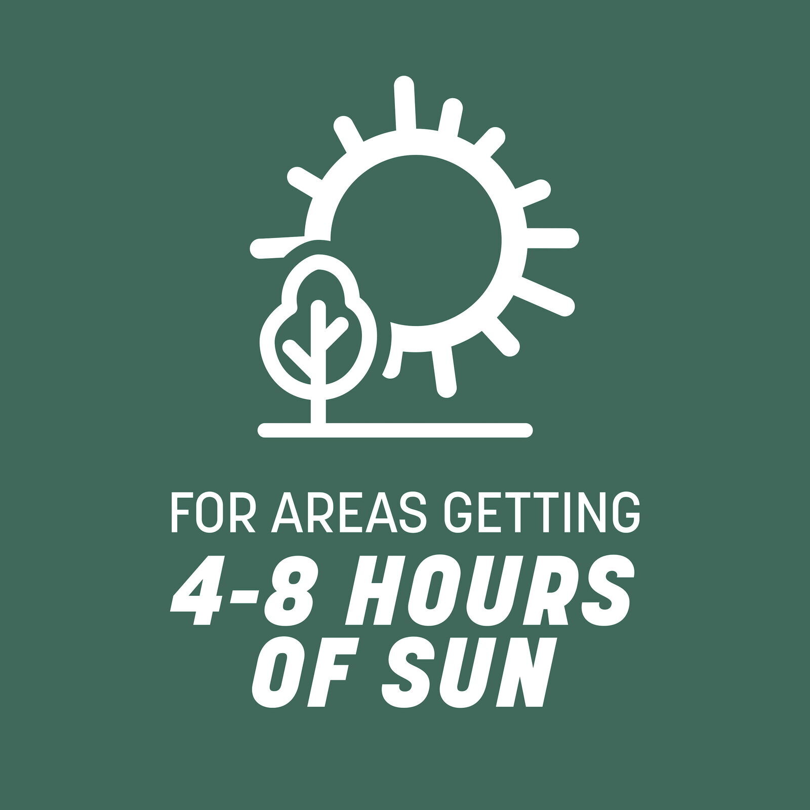 31 Tall Fescue Grass Seed for Sun to Partial Shade 20 lb Covers 4,000 sq. ft.