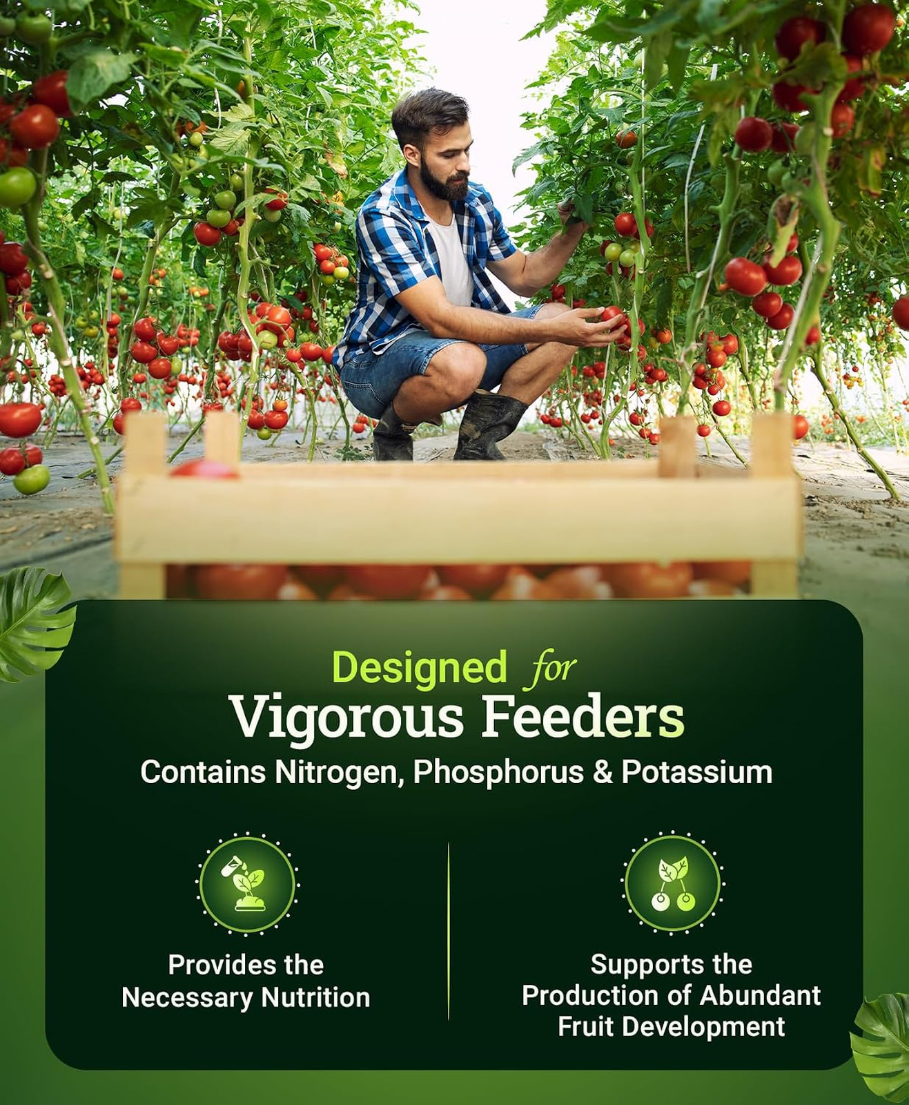 Garden Fertilizers