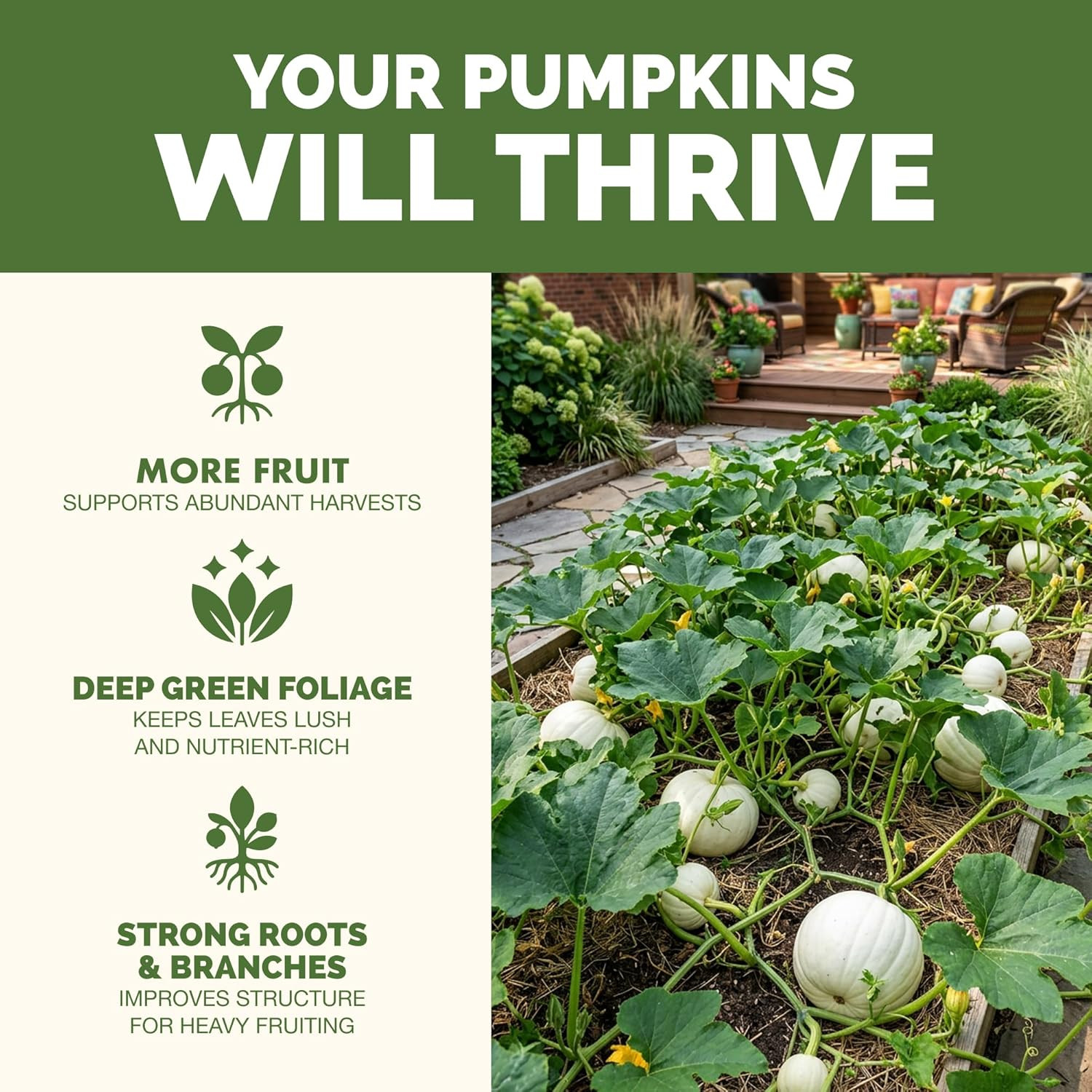 Pumpkin Fertilizer – Liquid Plant Food for Bigger Pumpkins, Vigorous Vines & Lar