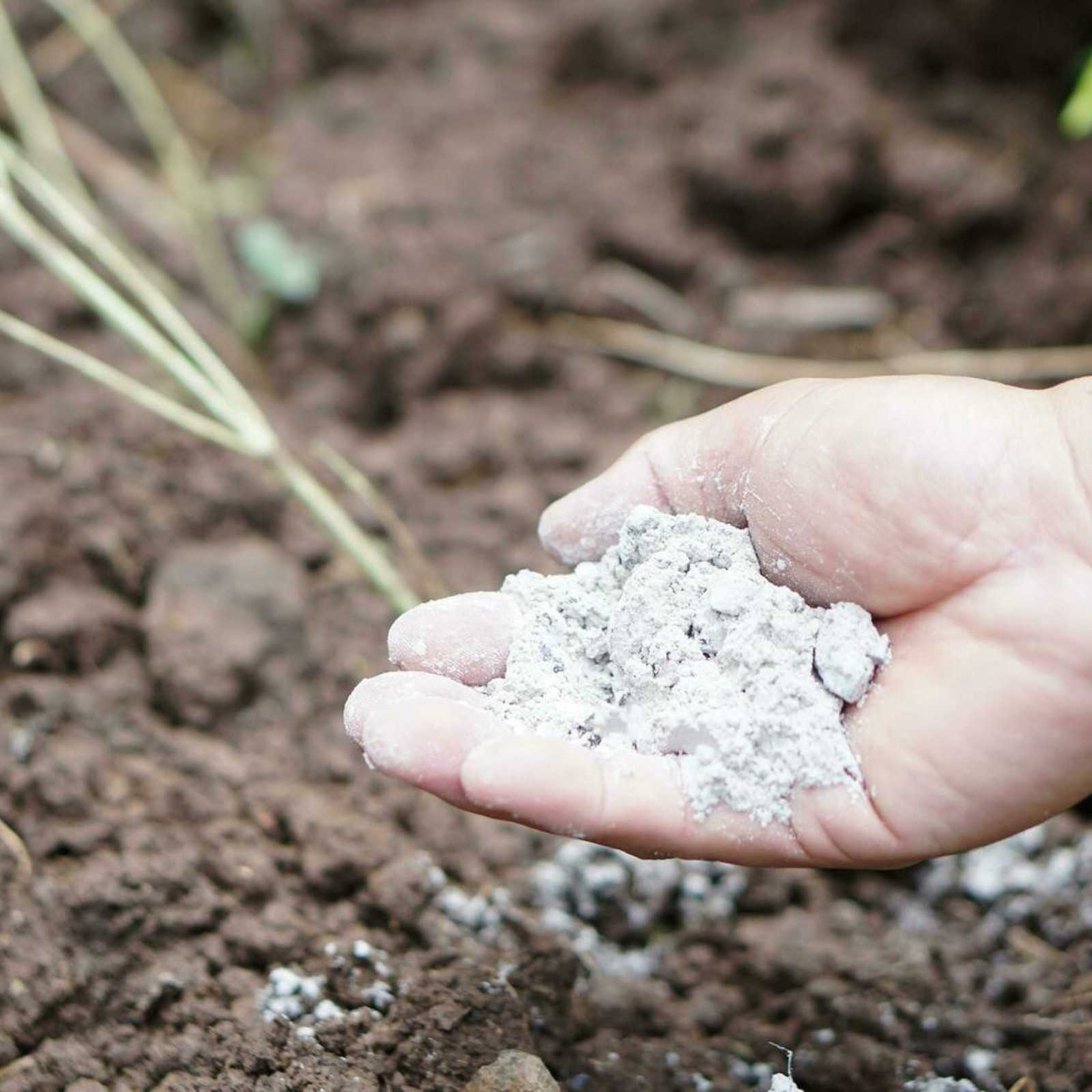 WOOD ASH POWDER GARDENING FERTILIZER Natural Compost Soap Pure, Free Shipp+ 150g