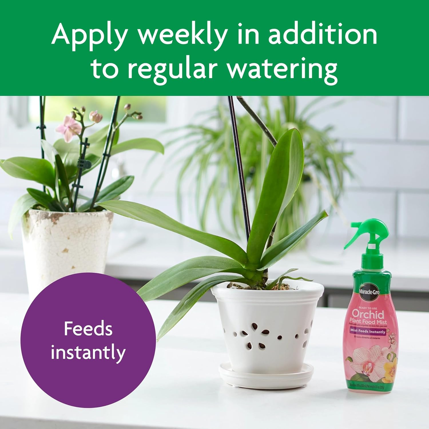 Miracle-Gro Ready to Use Orchid Plant Food Mist, Indoor Orchid Plants, 8 Oz, 3-P