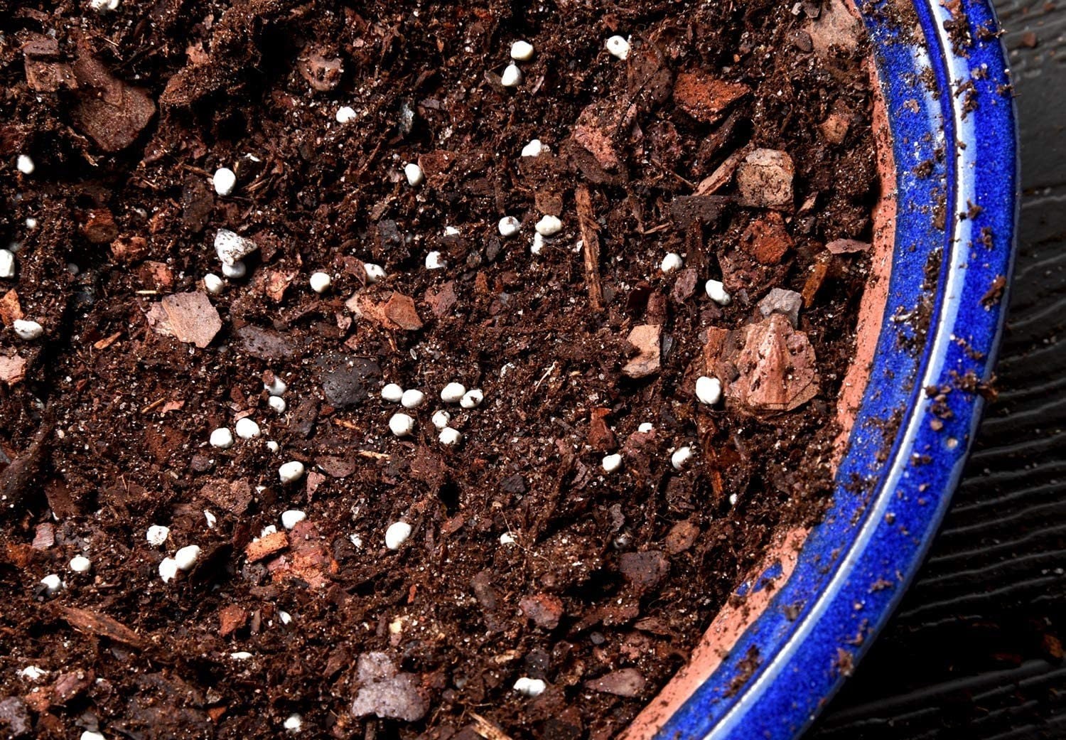 Bonsai Fertilizer Slow Release Plant Food for All Bonsai Tree Varieties 2 Pack