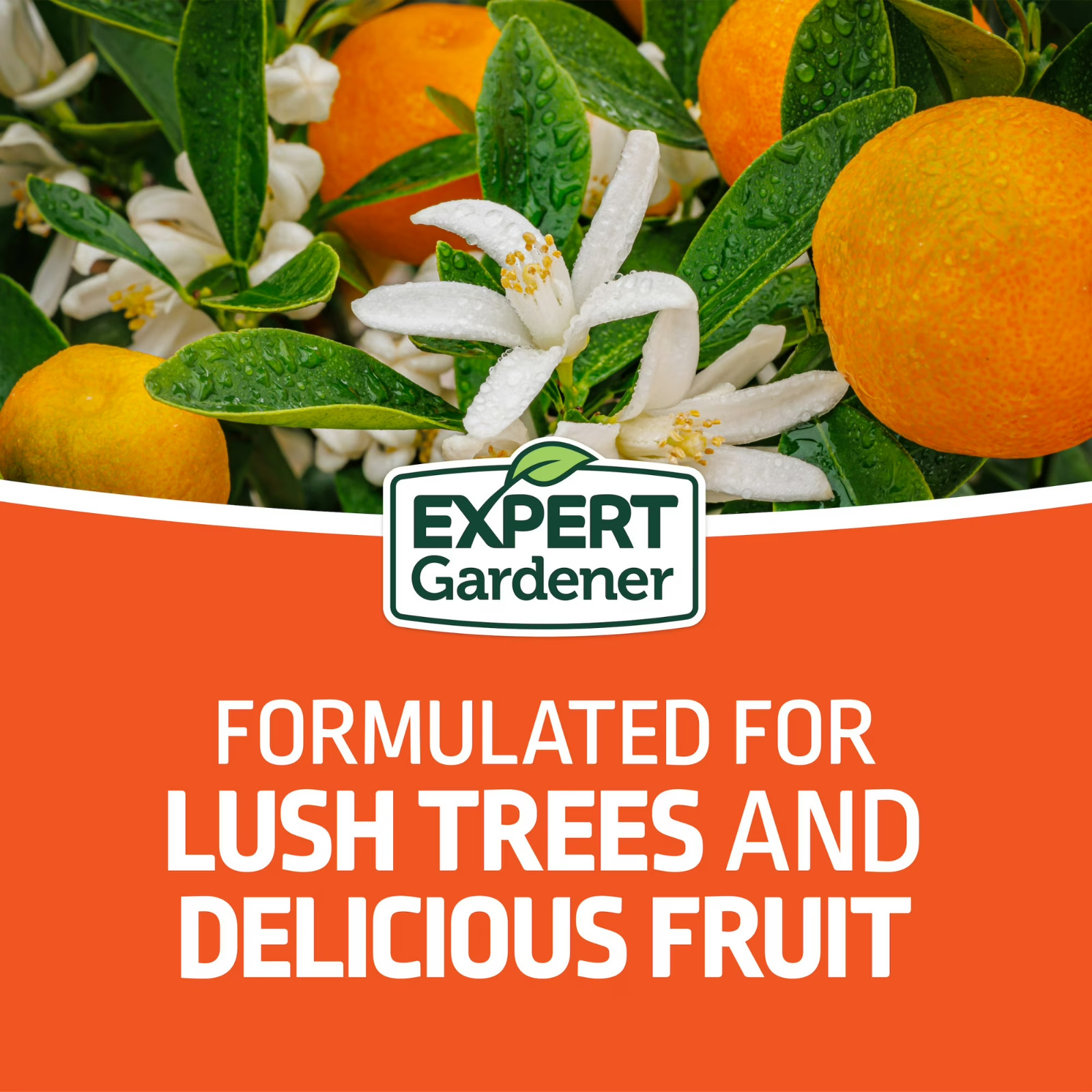 Citrus Fertilizer 6-4-6 Lemon Lime Orange Tree Plant Food 4/8Lb Expert Gardener
