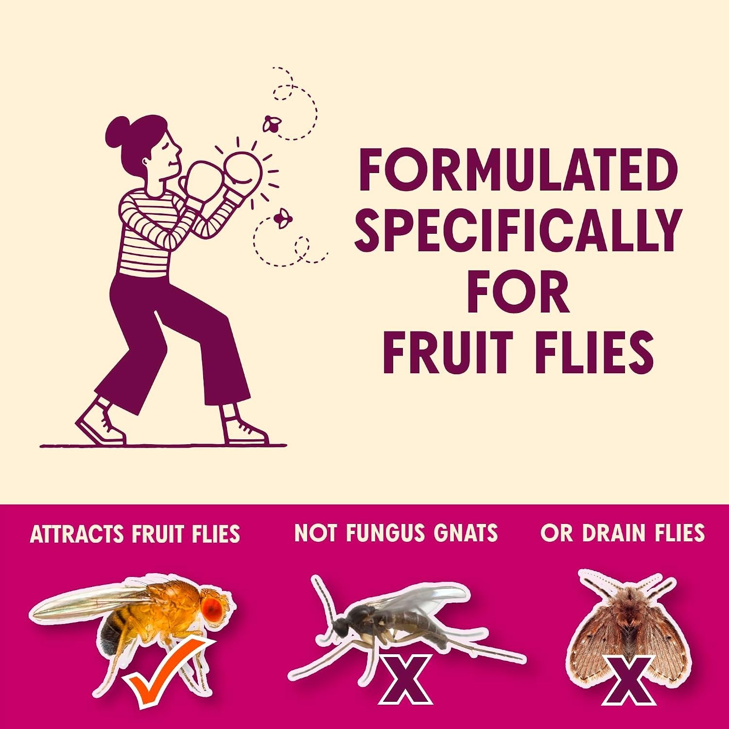 FlyPunch Fruit Fly Trap, Indoor Kitchen Use, 6 oz, Pack of 1 | Plant-Based In…