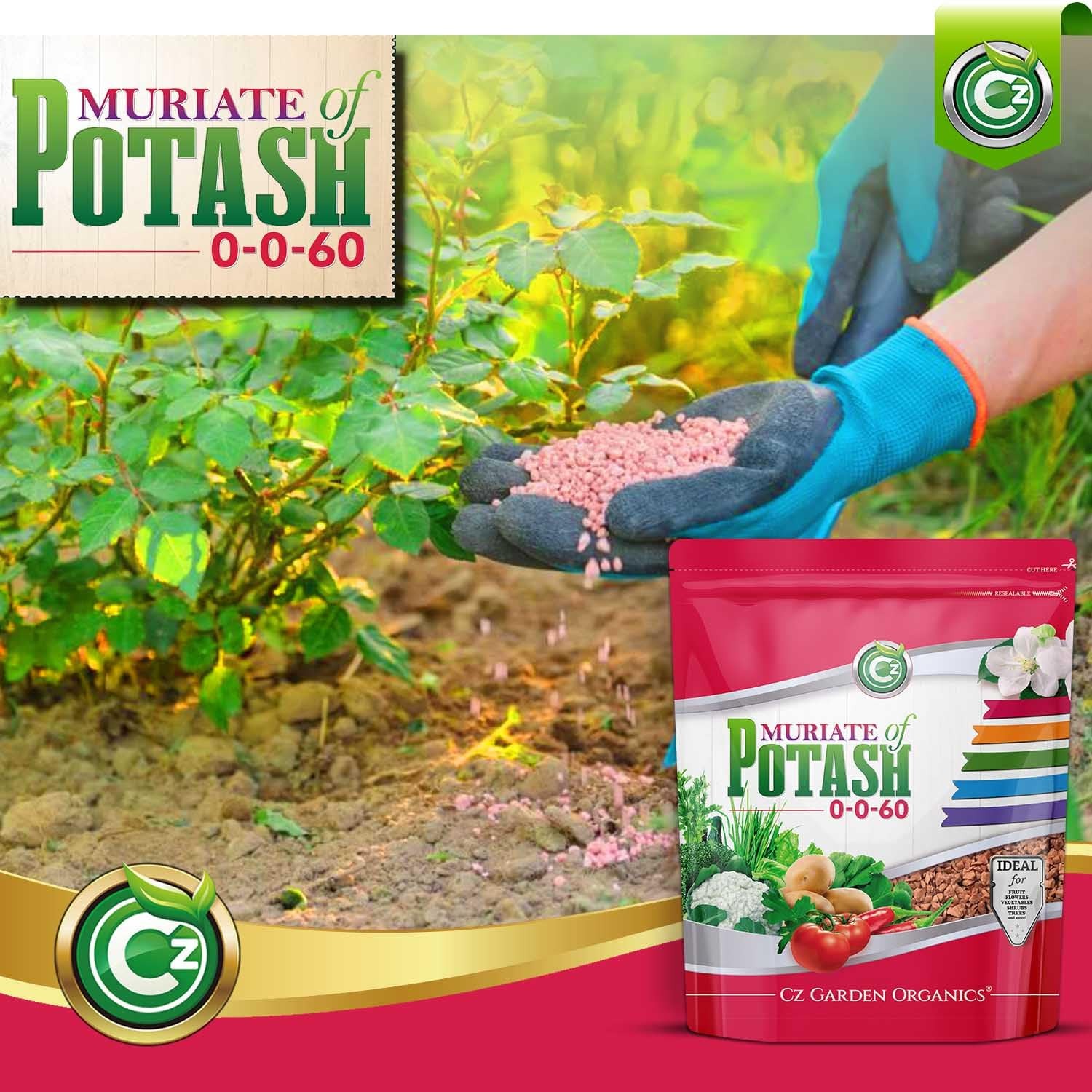 Muriate of Potash 0-0-60 Fertilizer Cz Garden Organics 5LB