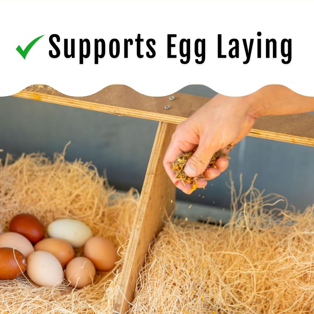 Herbal Chicken Supplement 5 LB Natural Feed Botanical Mix Egg Production Feather