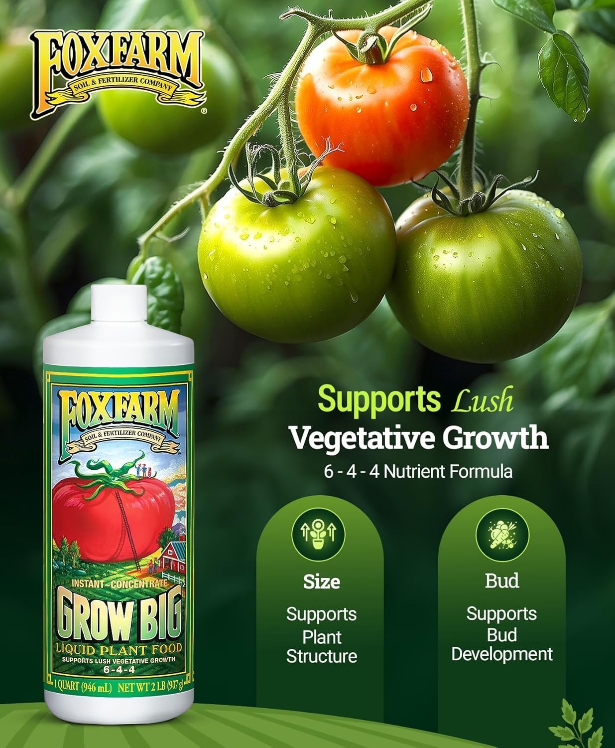 Nutrient-Rich 1 Quart Grow Big Concentrate – Perfect for Indoor & Outdoor Plants