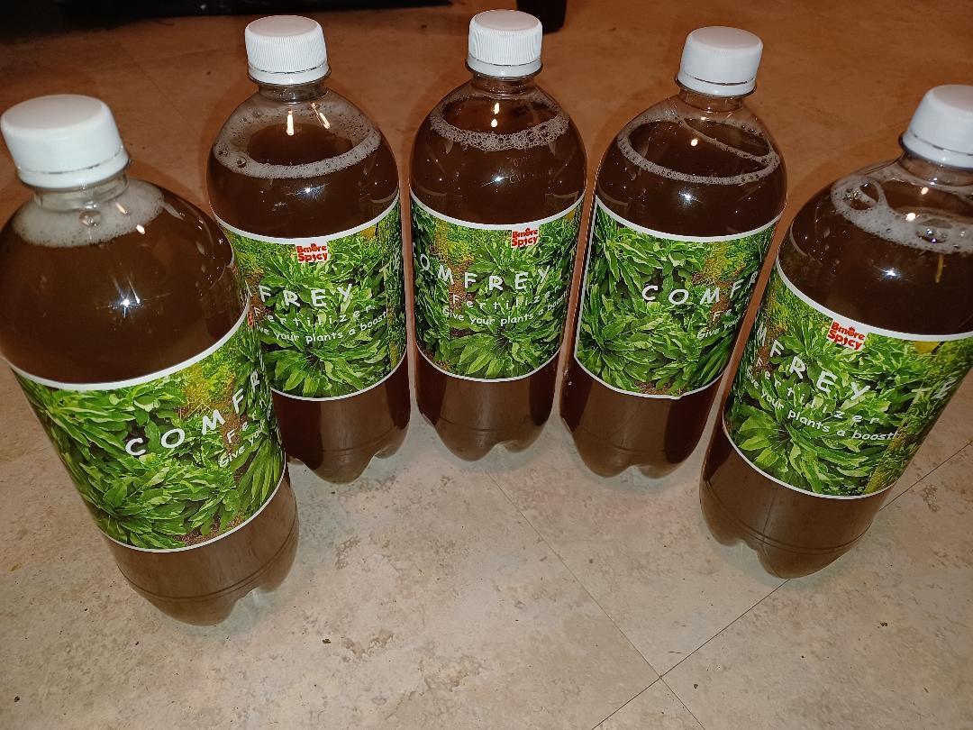 Comfrey Tea Concentrate Fertilizer Rich Macro/Micronutrients Cal Mag Compost