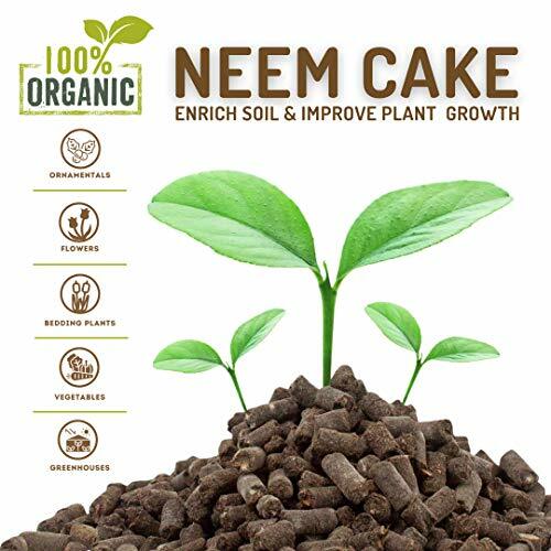 Orgo Neem Cake | 100% Organic Fertilizer for Outdoor Plants, Lawn 5 lbs