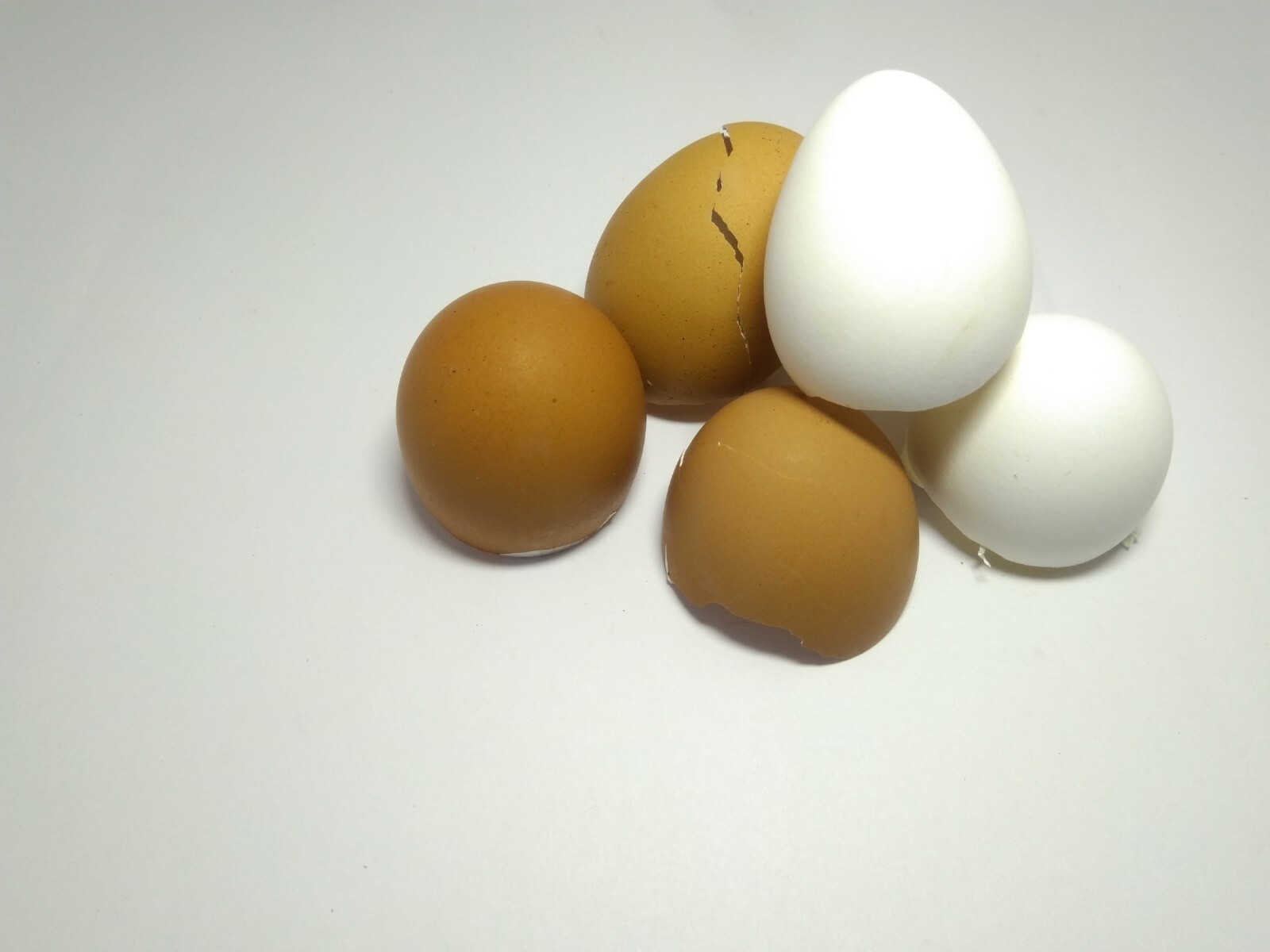 Crushed Eggshells 100% Organic Calcium Fertilizer & Calcium Supplement for Pets