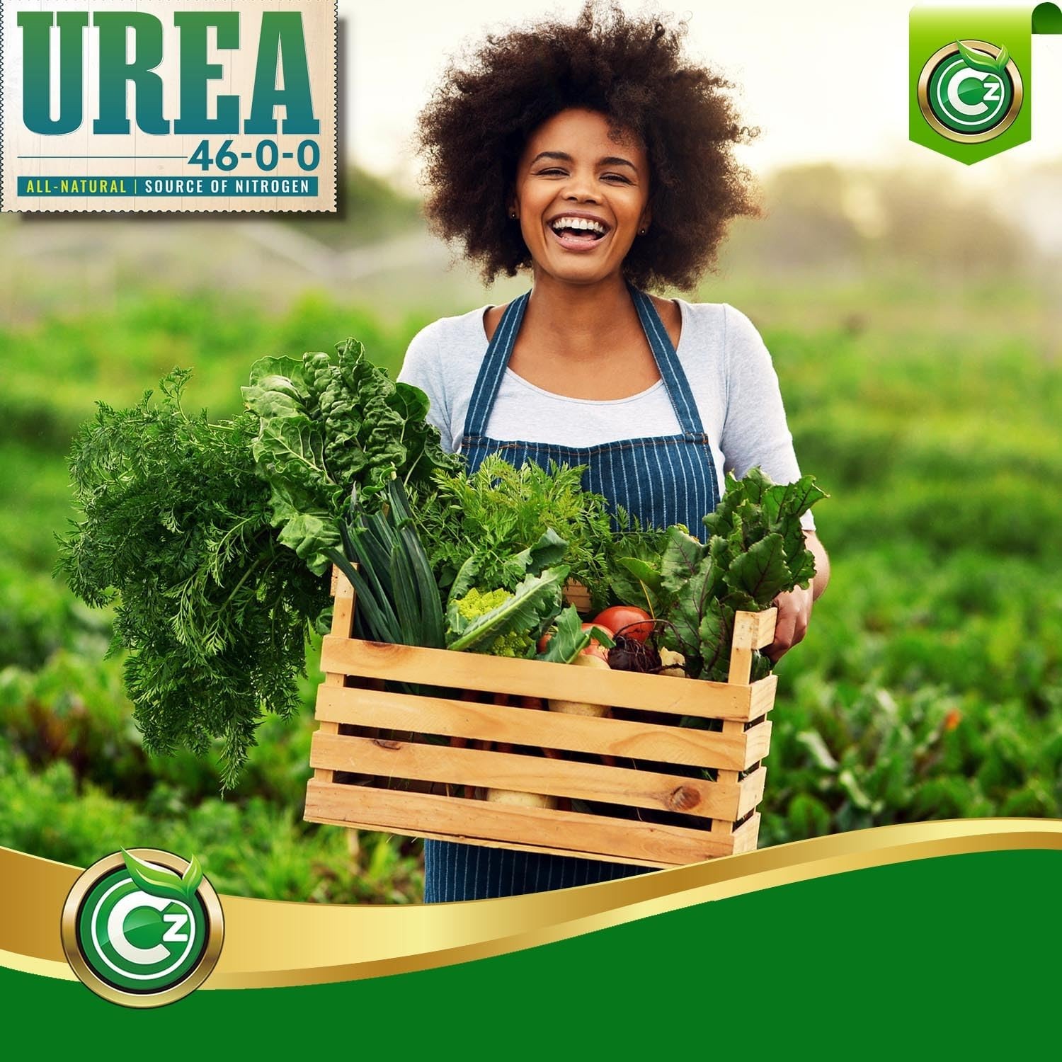 Urea Fertilizer 46-0-0 Made in USA Plant Food for Indoor/Outdoor Flowers & Ga…