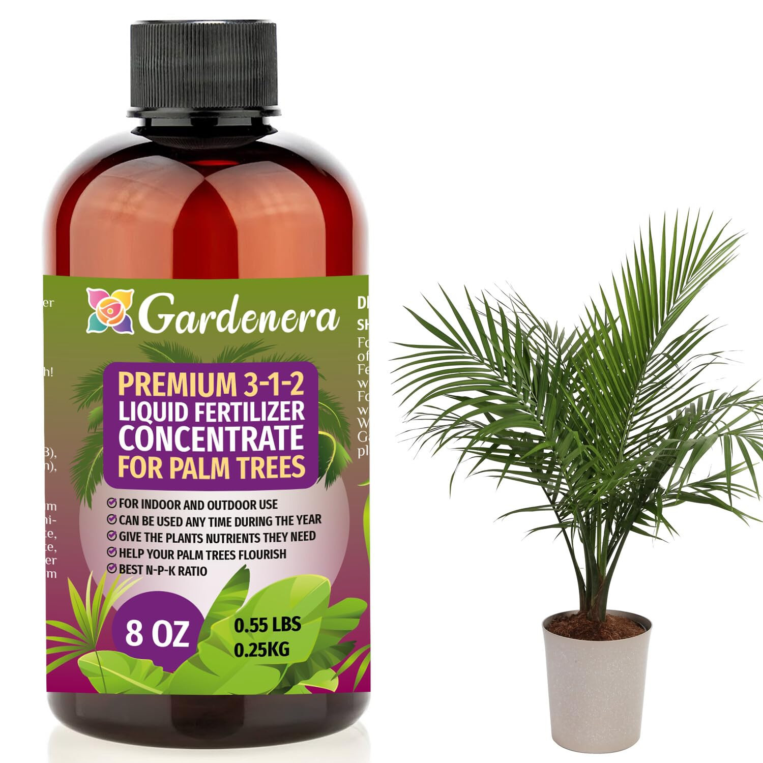 Premium Liquid Palm Tree Plant Fertilizer – 3-1-2 Concentrate for Indoor Plants