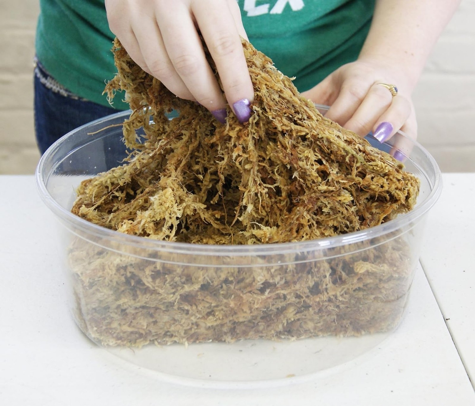 besgrow Premium New Zealand Sphagnum Moss, 100g (8L When Hydrated) – Harveste…