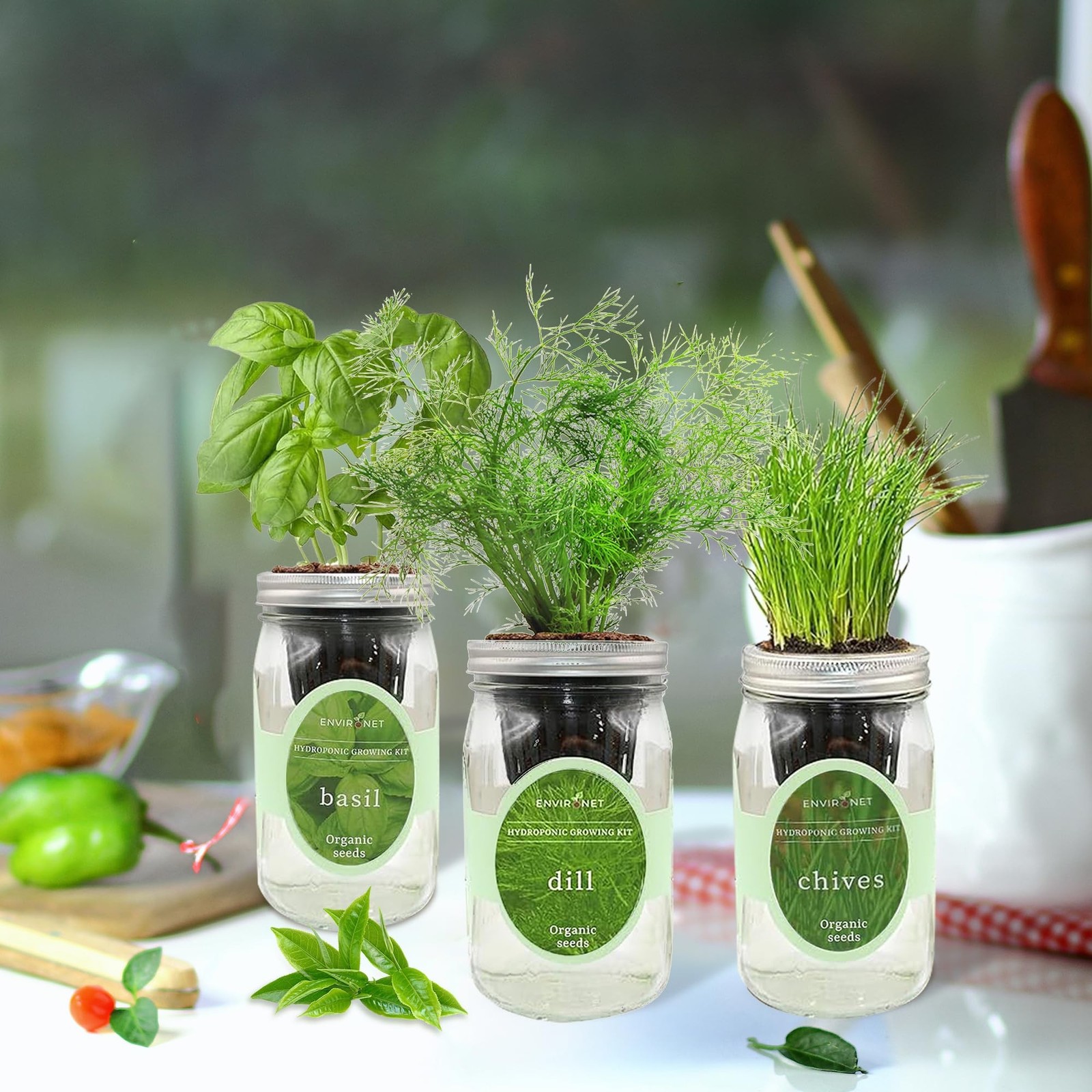 Hydroponic Herb Growing Kit Set, Self-Watering Mason Jar Herb Garden Starter …