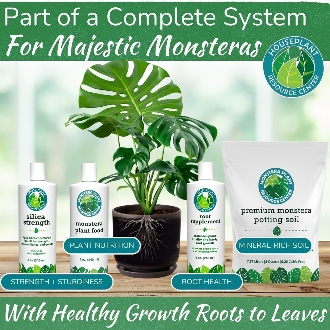 Monstera Plant Food – 5-2-3 Liquid Fertilizer for Monstera, Pothos & Snake (8oz)