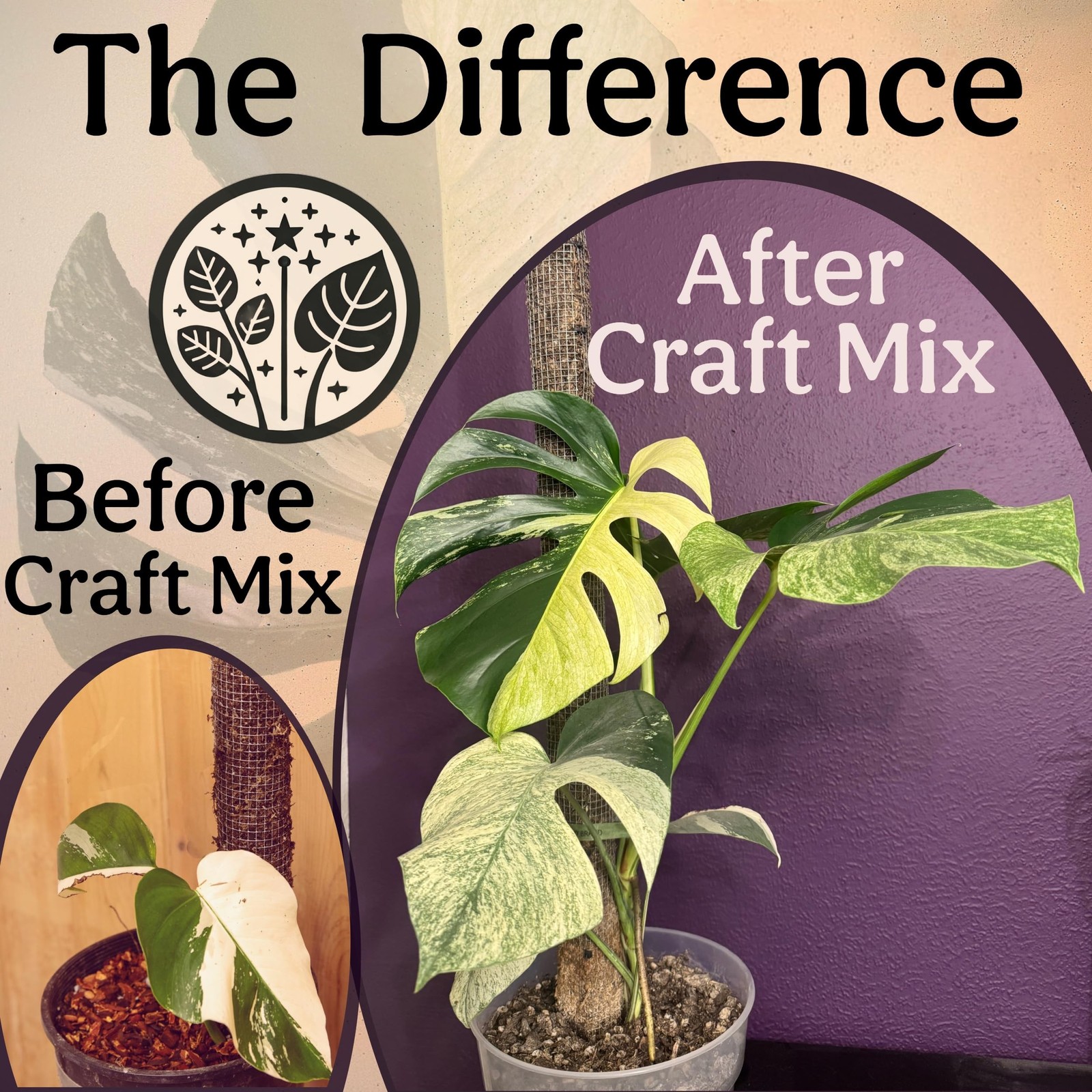 Craft Aroid Potting Mix- Elite Organic Alocasia, Philodendron, Monstera Soil …