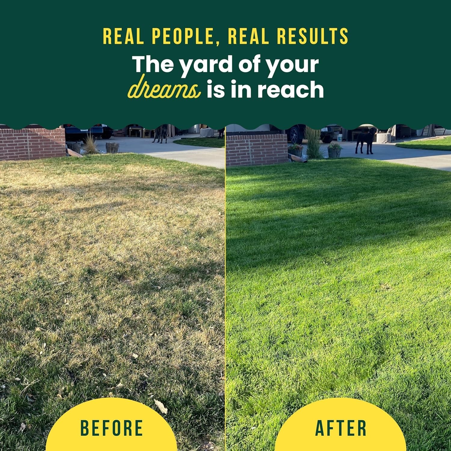 Lawn Kickstart + Green Machine Liquid Lawn Fertilizer, 2-Pack | Kickstart 22-…