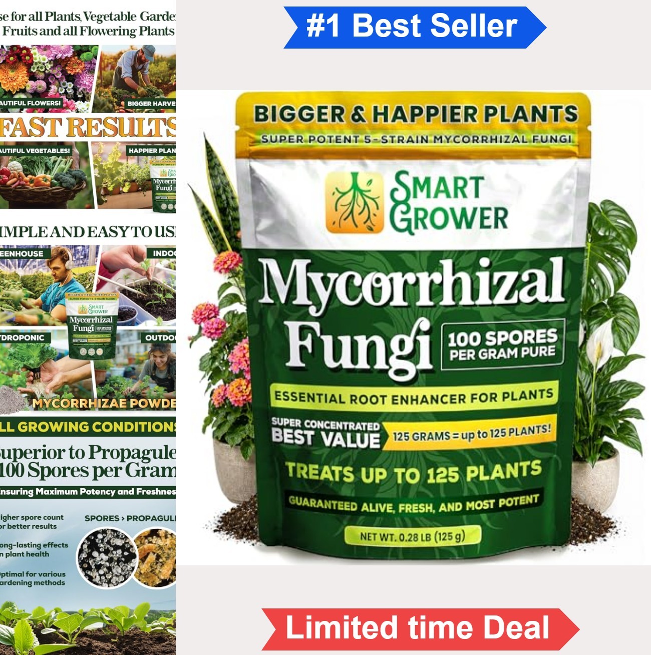 Mycorrhizal Fungi Organic Root Enhancer 100 Spores per Gram 5 Strains 125g