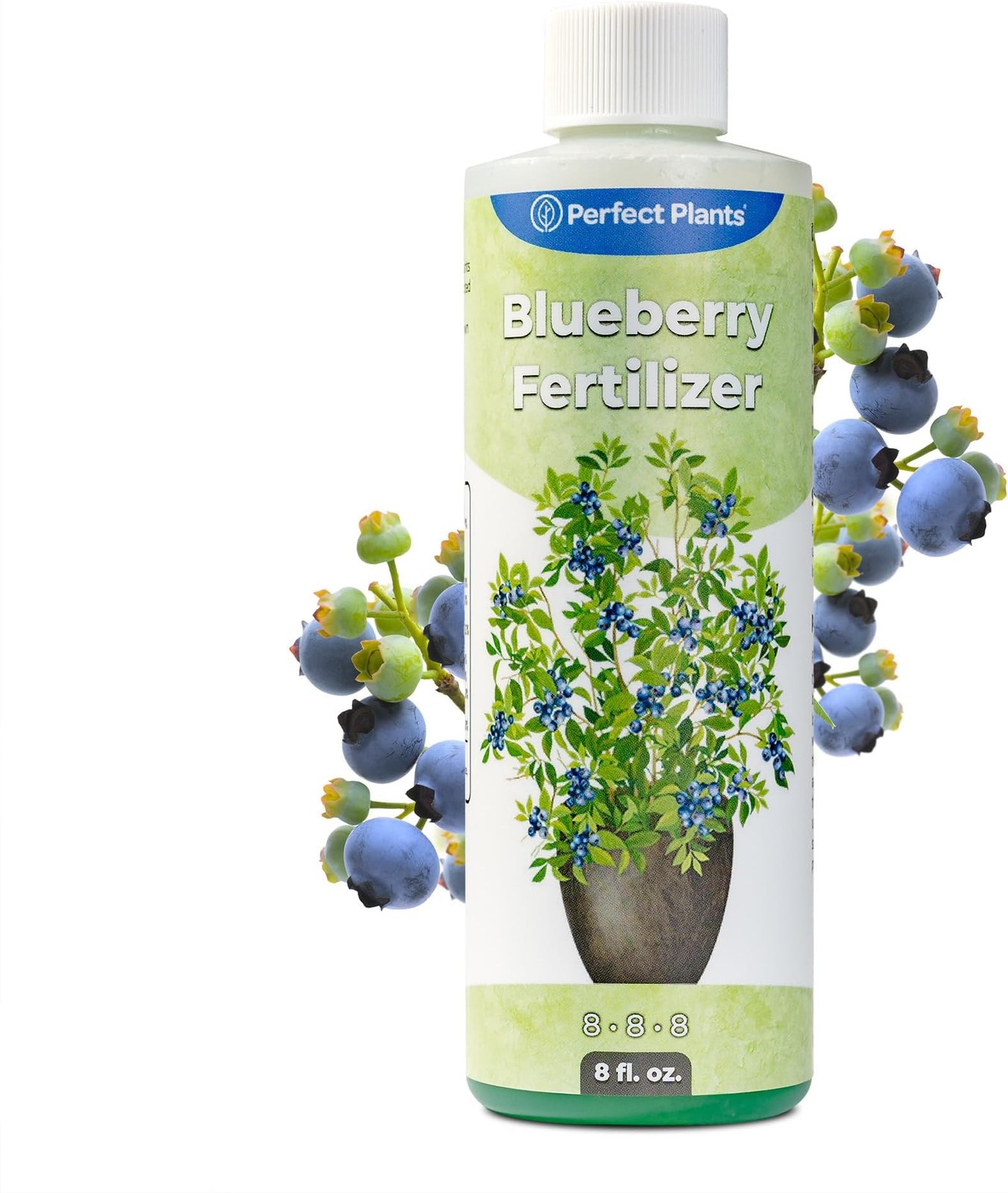 Liquid Blueberry Fertilizer by Perfect Plants | Berry Booster | Premium Ferti…