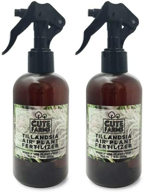 Tillandsia Air Plant Fertilizer Weekly Use Formula Plant Food Two 8 oz Bottles