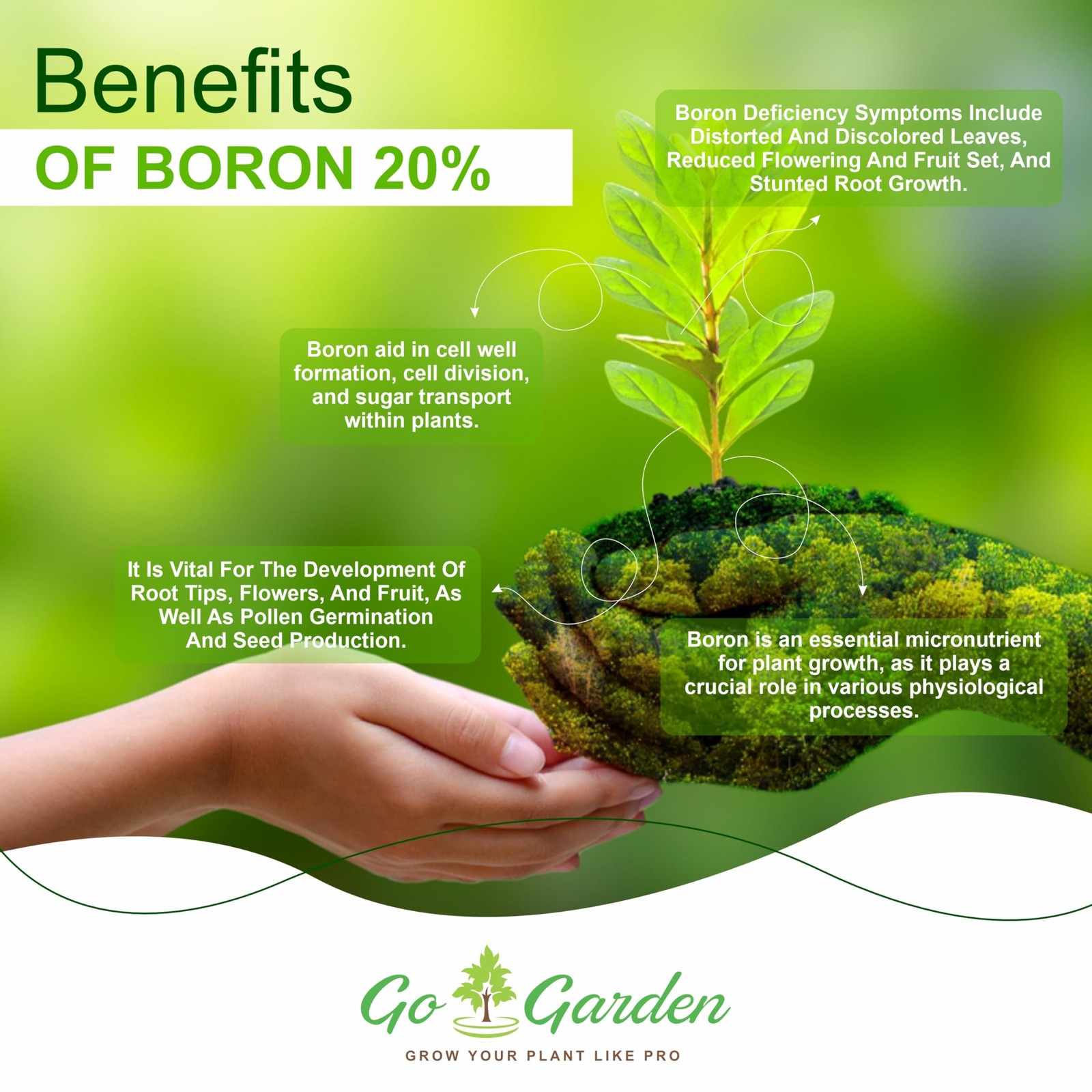 Boron 20% Micronutrient Fertilizer – Boosts Vegetable Growth, 250g Powder Fer…