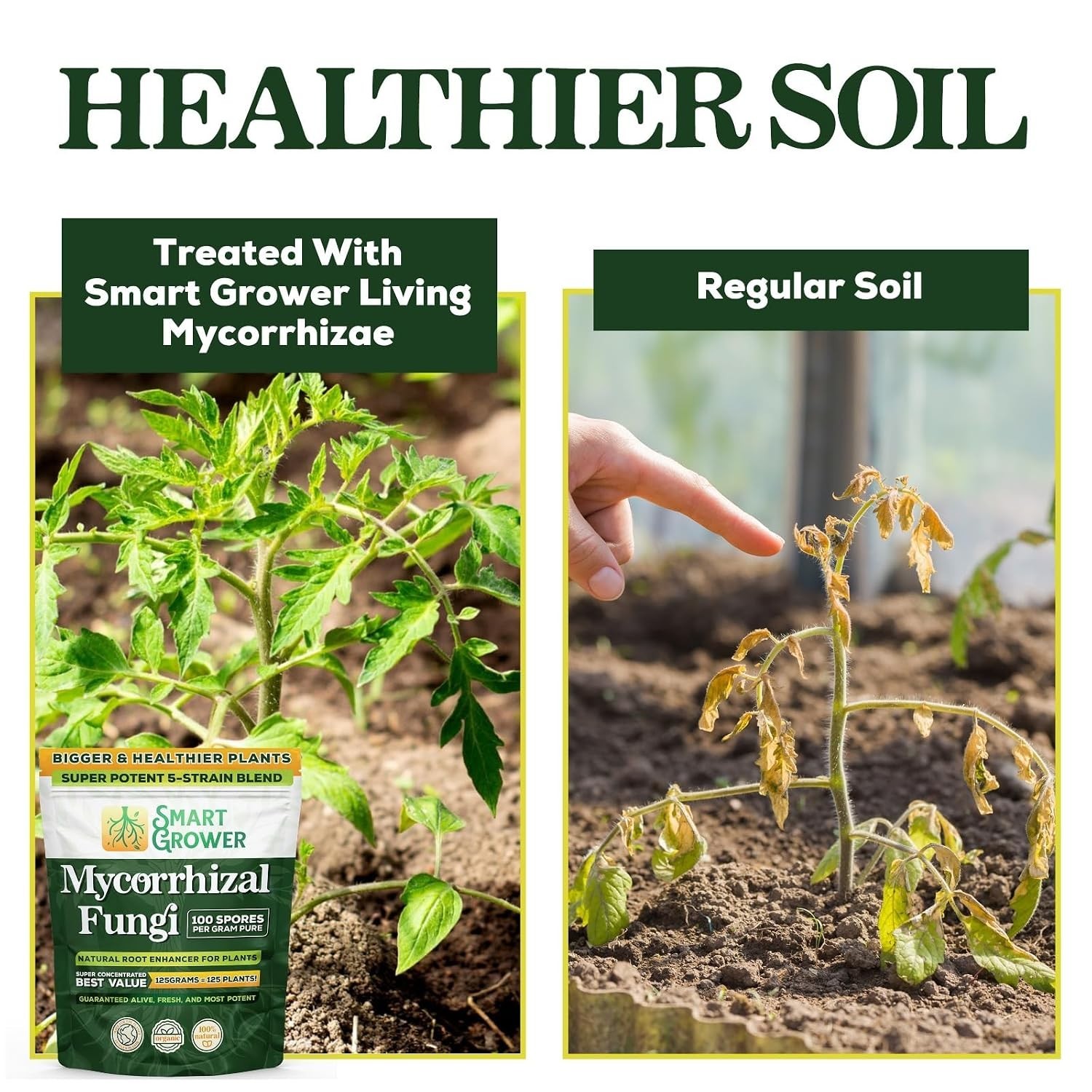 Mycorrhizal Fungi Root Enhancer 5-Strain Blend 125G, Treats 125 Plants | 100 …