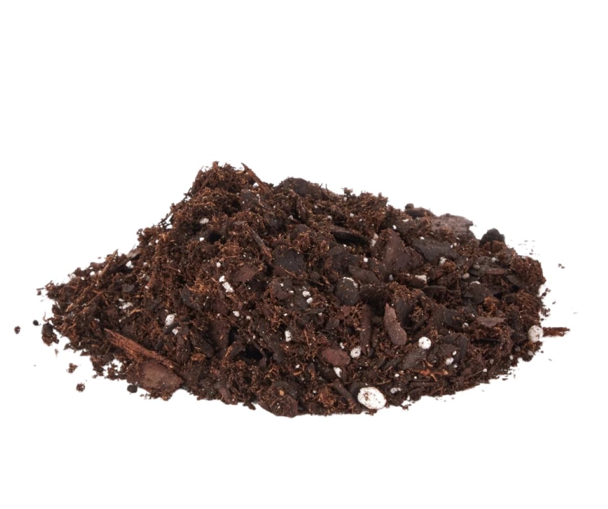 Premium Orchid Potting Mix 8qt Ideal for Healthy Growth and Blooms