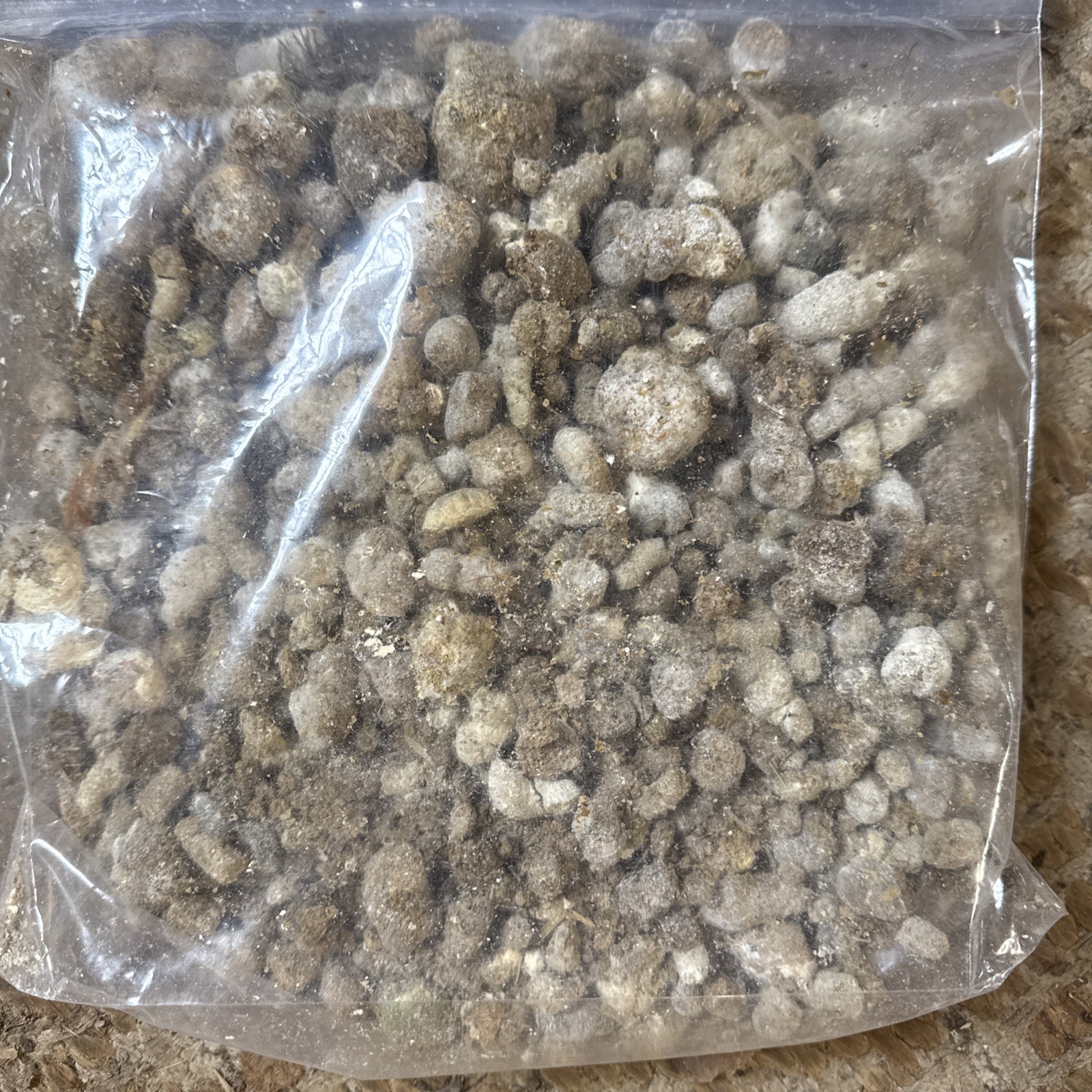 Fresh Dried Chicken Manure