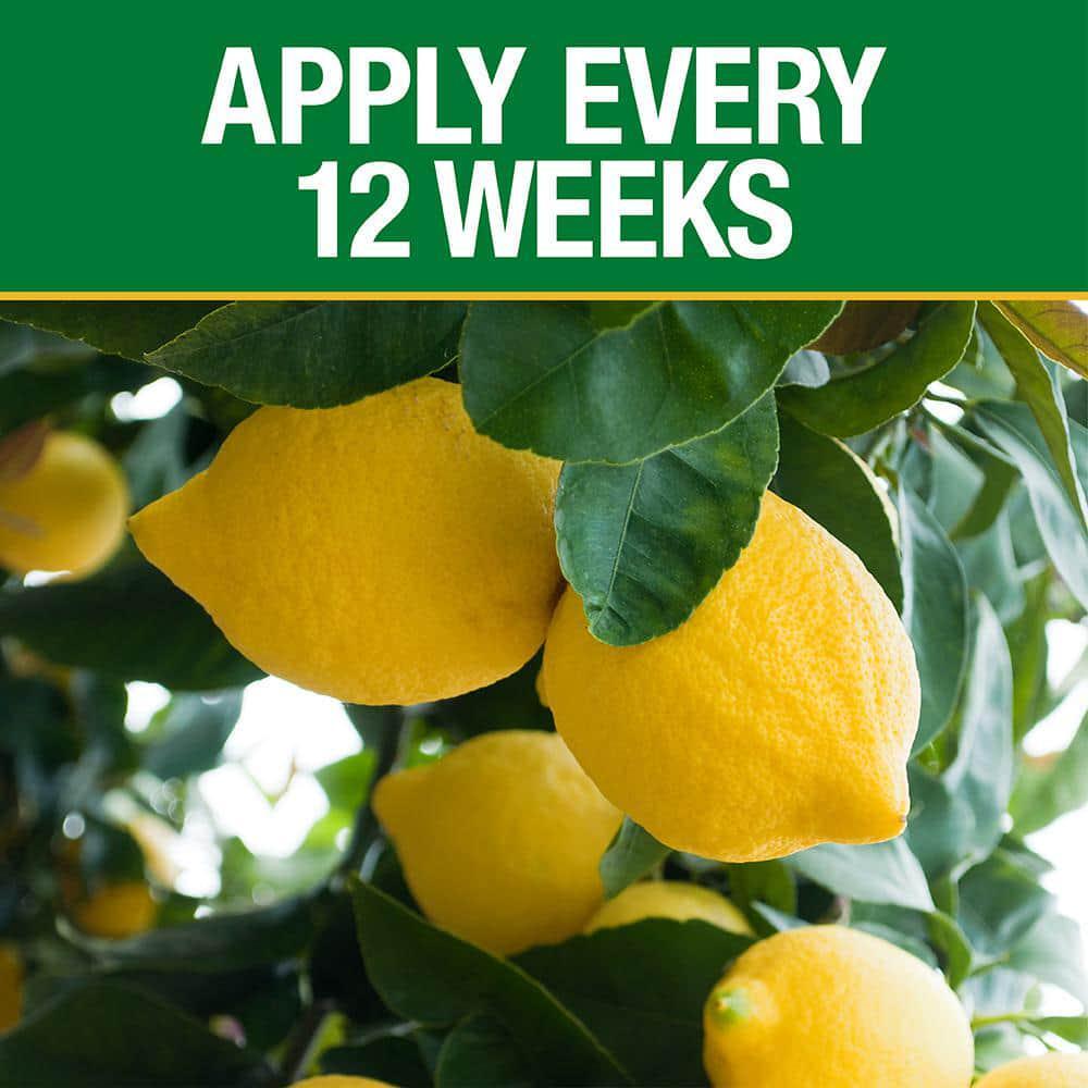 Vigoro All Season Fruit Nut and Citrus Fertilizer Spikes (16-4-8) (15-Count)