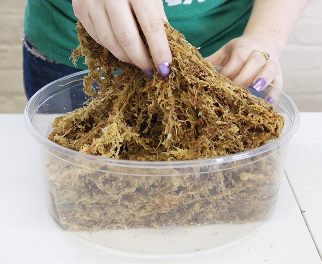 Spagmoss Sphagnum Moss New Zealand Besgrow Loaf Classic Orchid Plant Fiber 2 pcs