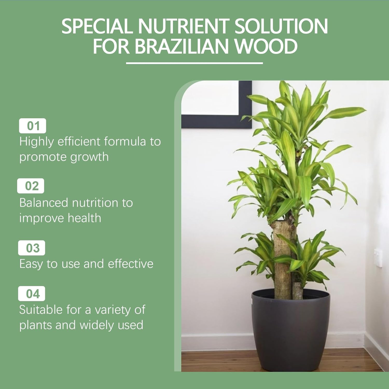 Moonspry Brazilian Lucky Wood Plant Food, Lucky Bamboo Liquid Fertilizer，Braz…